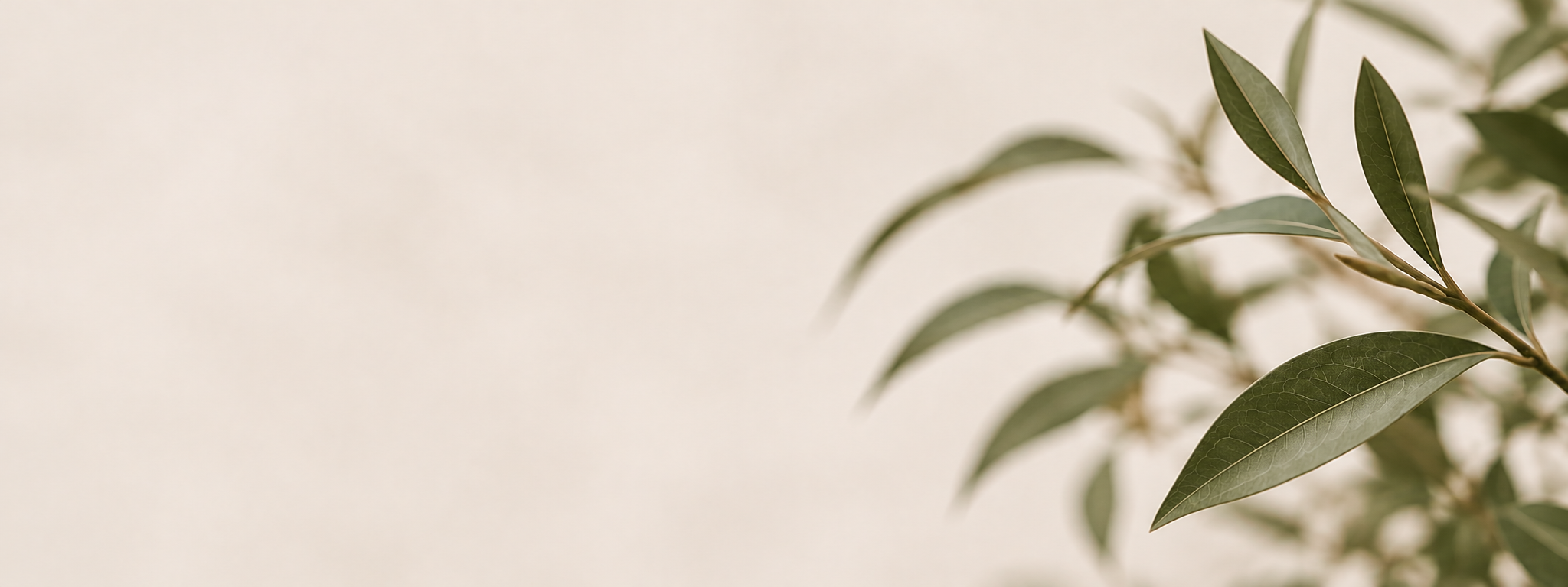 Close-up of green leaves with a blurred background.