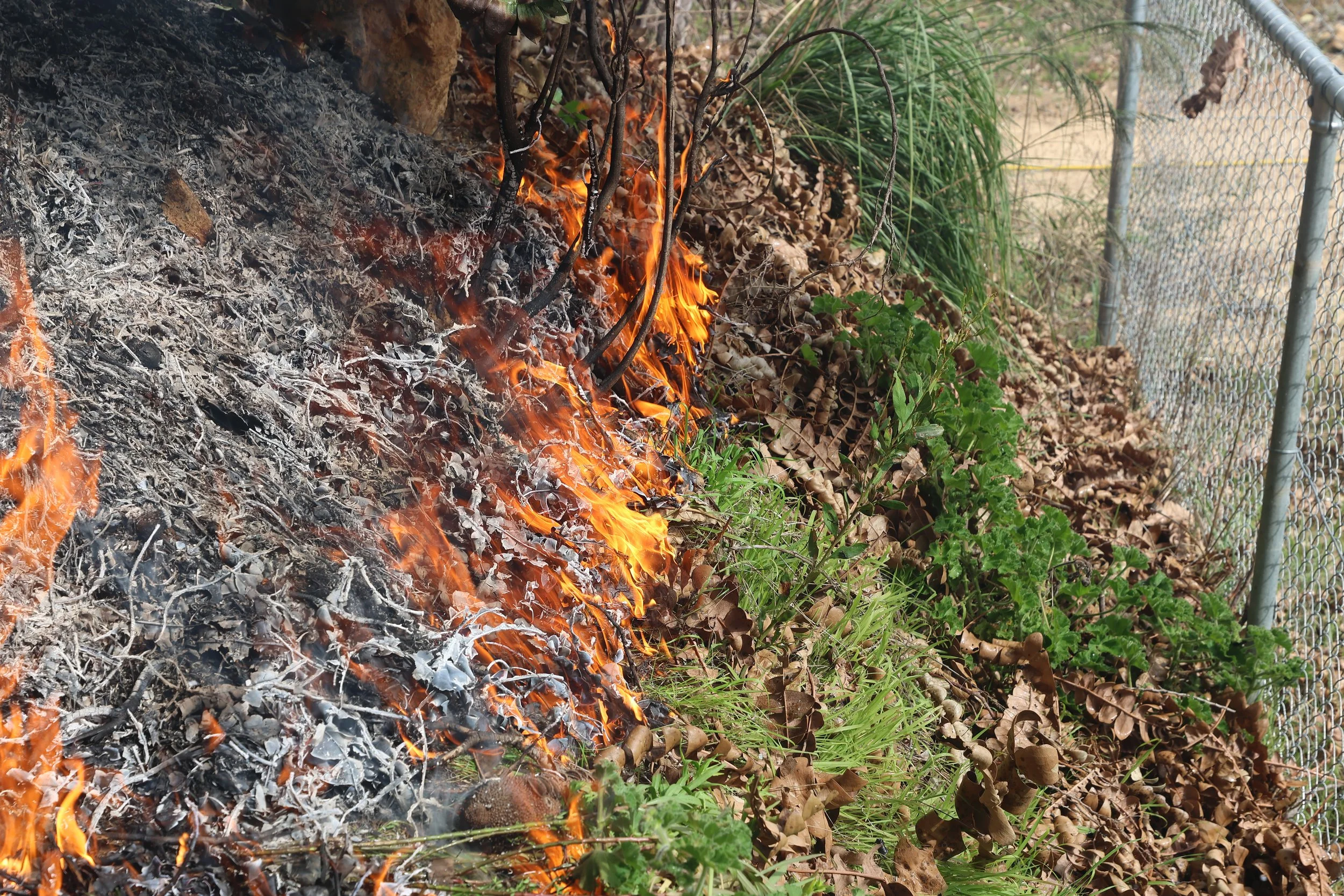 planned burn 