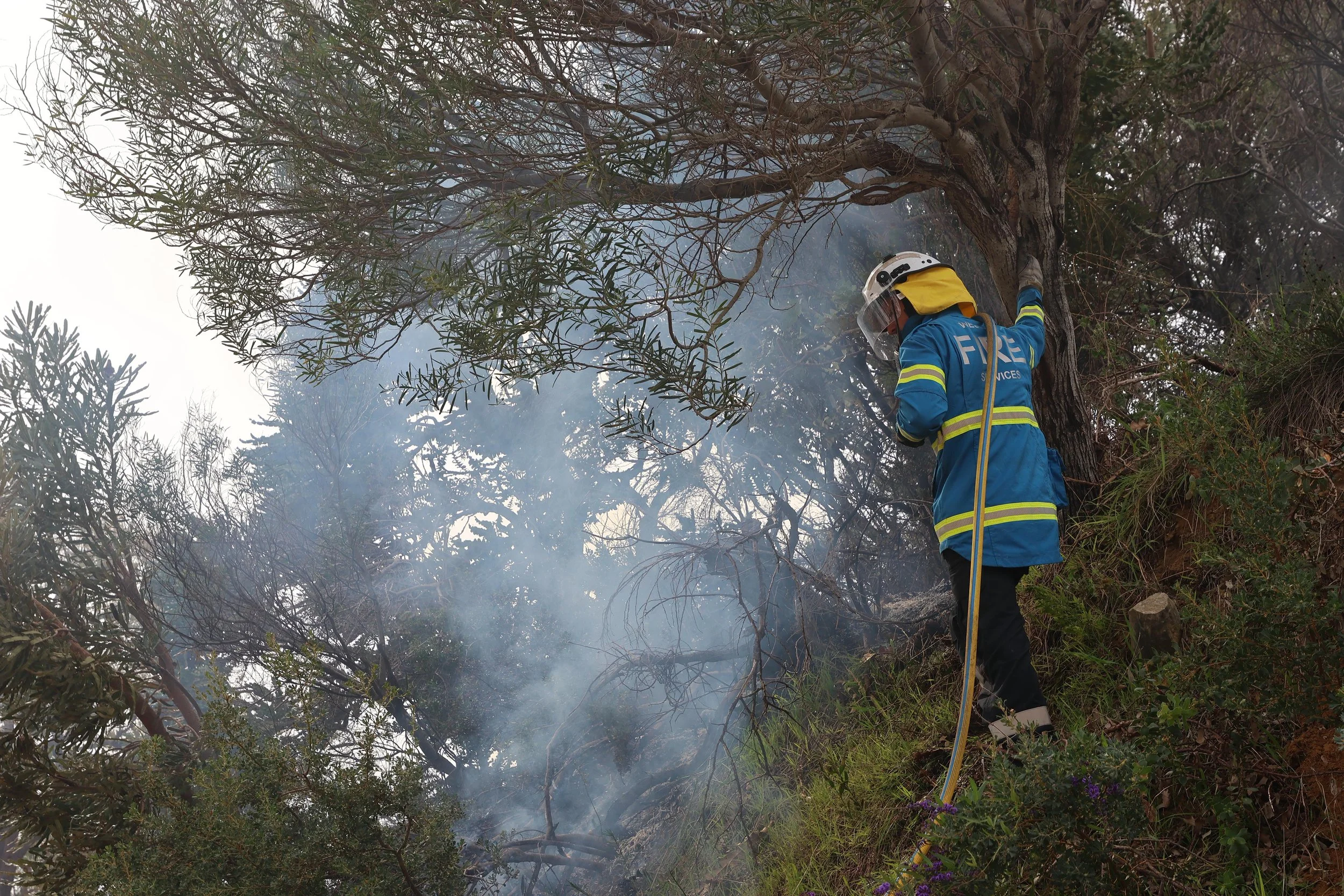 Firefighter monitoring a hazard reduction burn