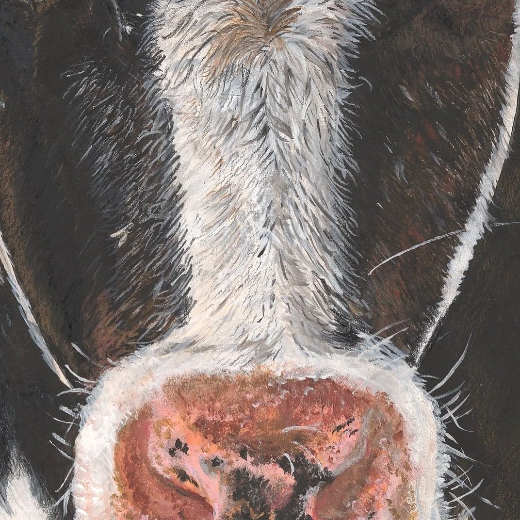 jessabell_300x300mm_jpg.jpg