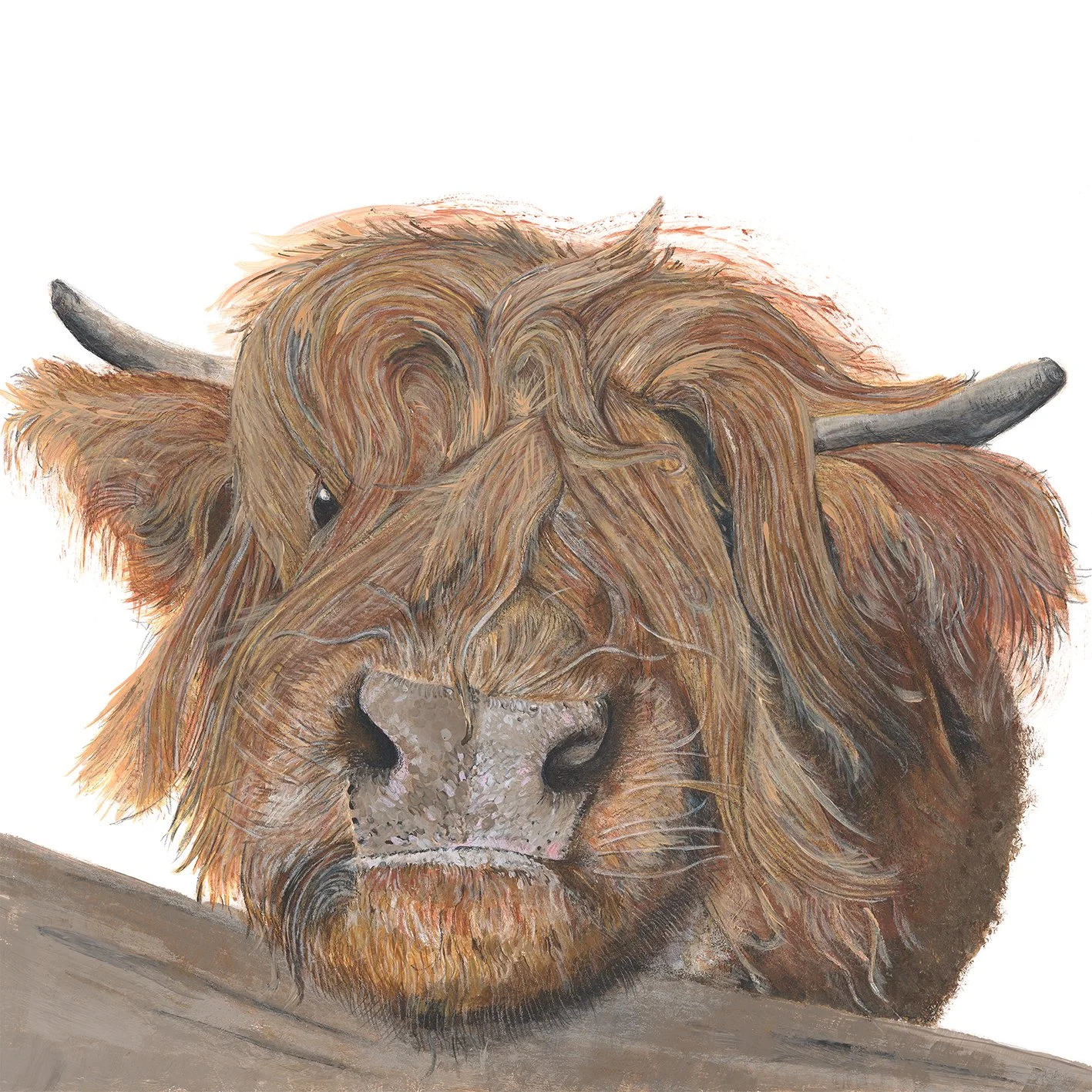 Behind the Fringe