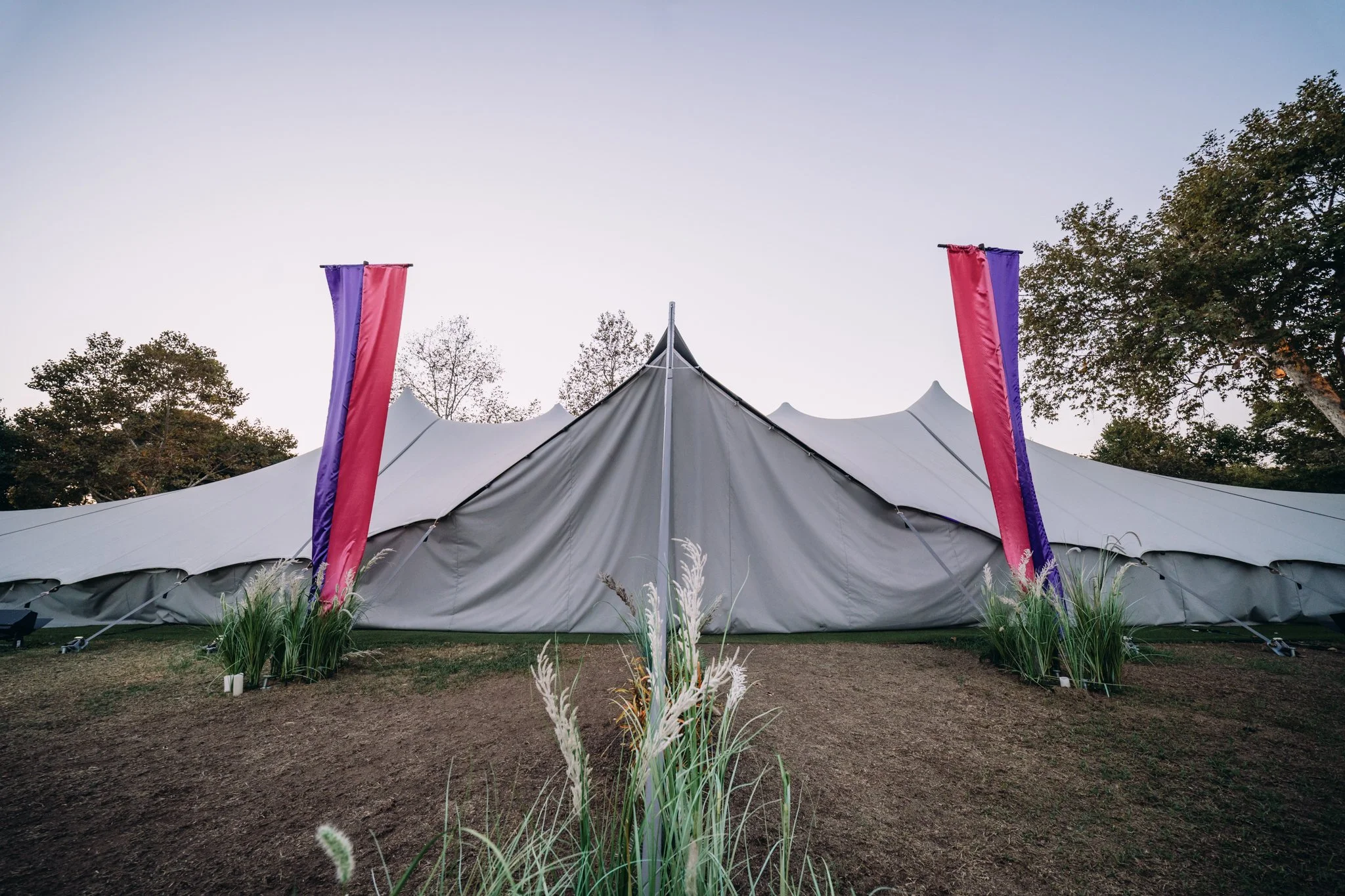 A large white Bedouin event tent with pointed peaks, decorated with two tall purple and pink vertical banners, surrounded by ornamental grasses and trees, under a clear sky.
