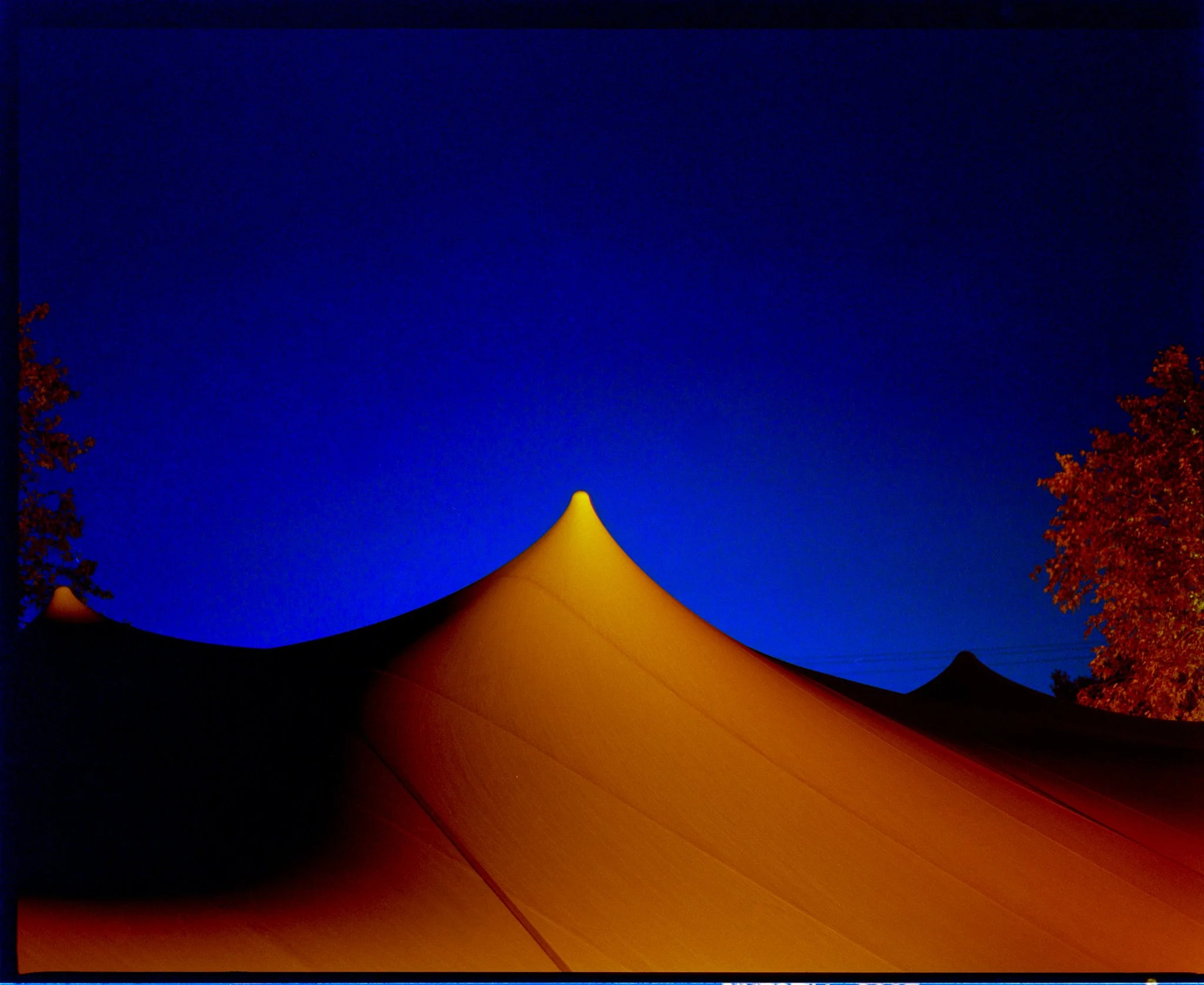 A yellow tent at night with a deep blue sky and trees with dark foliage in the background