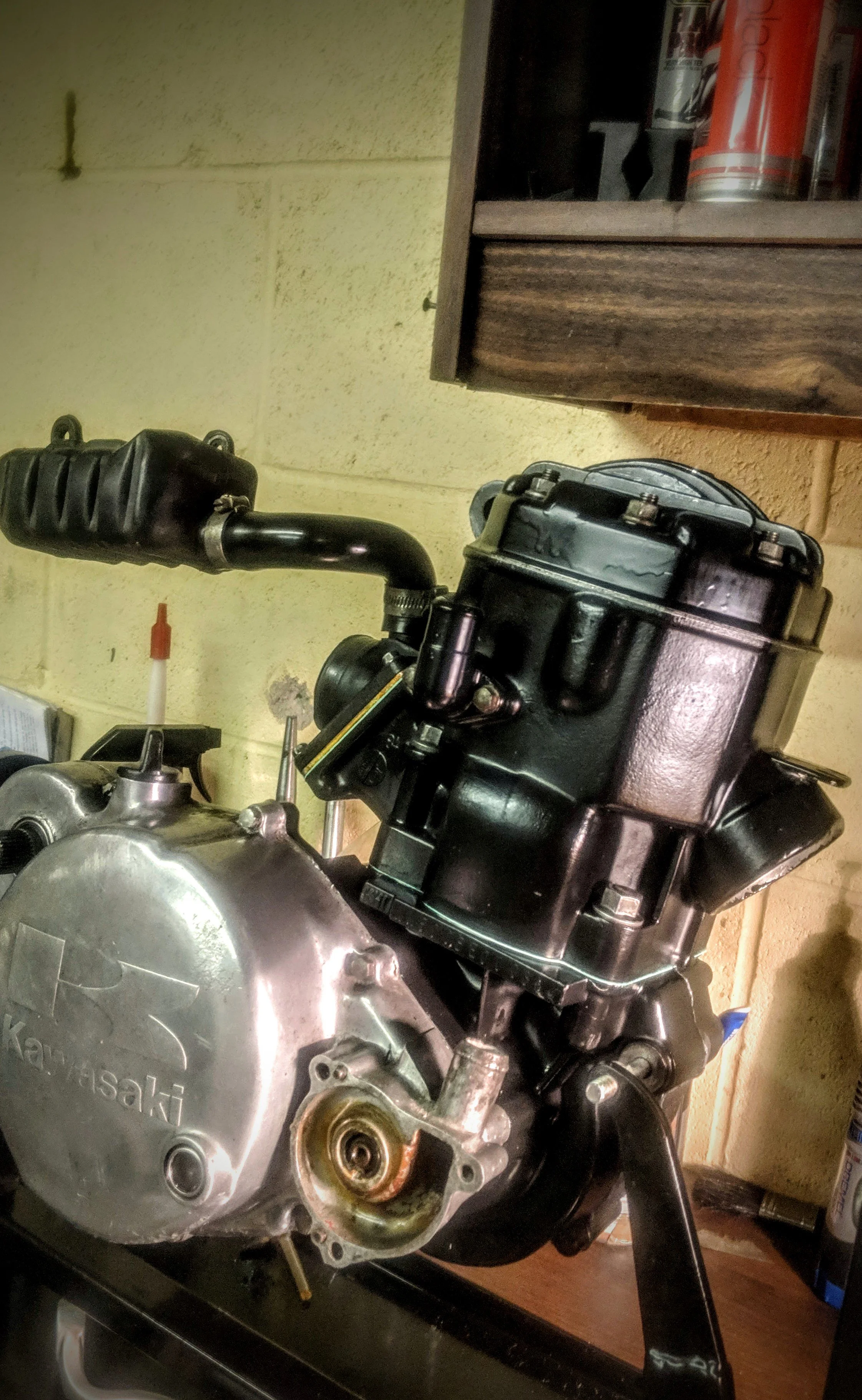 Close-up of a Kawasaki motorcycle engine with the engine cover showing, and a black fuel tank or frame part.