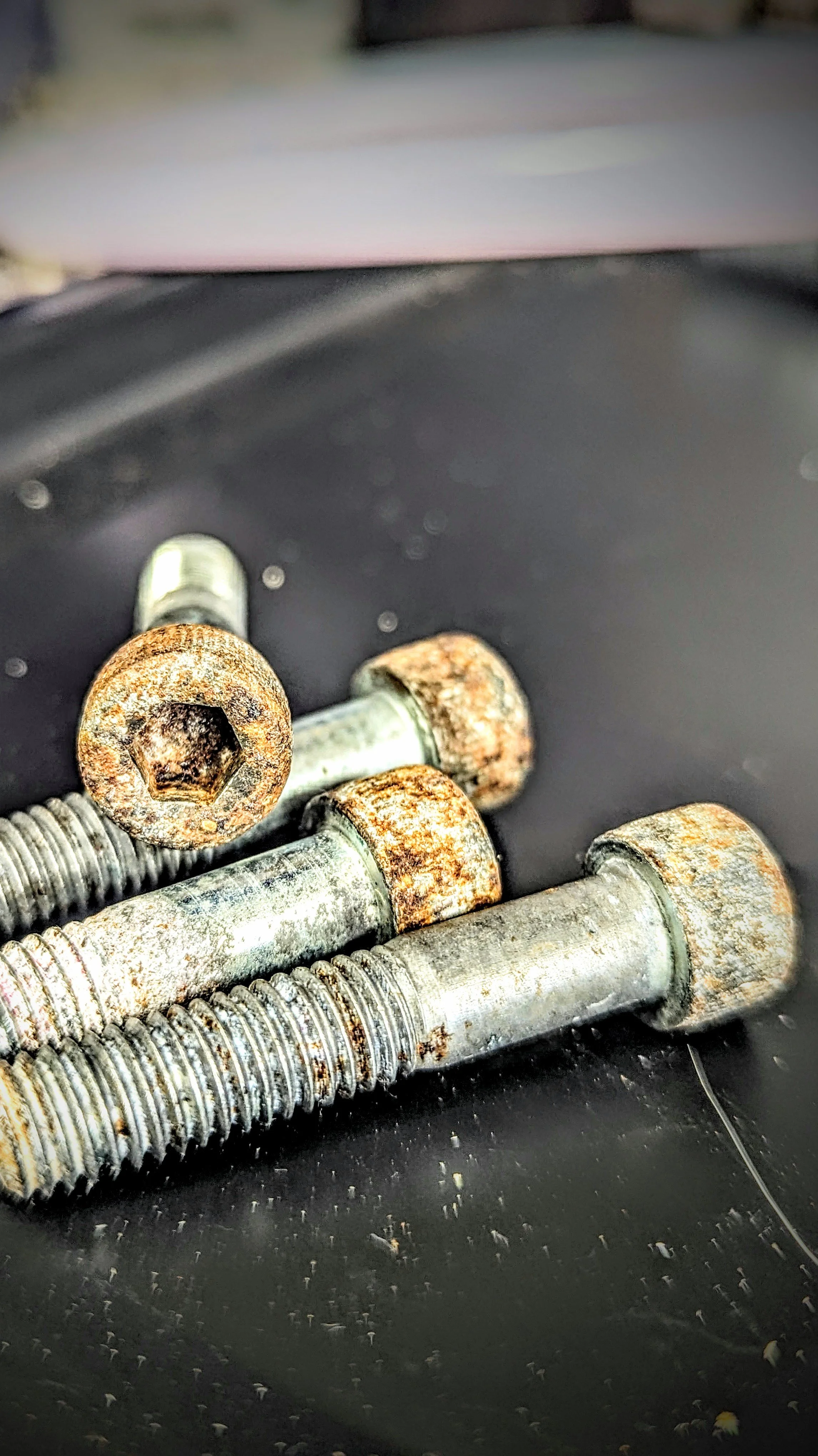 Close-up of rusty bolts and screws on a metallic surface.