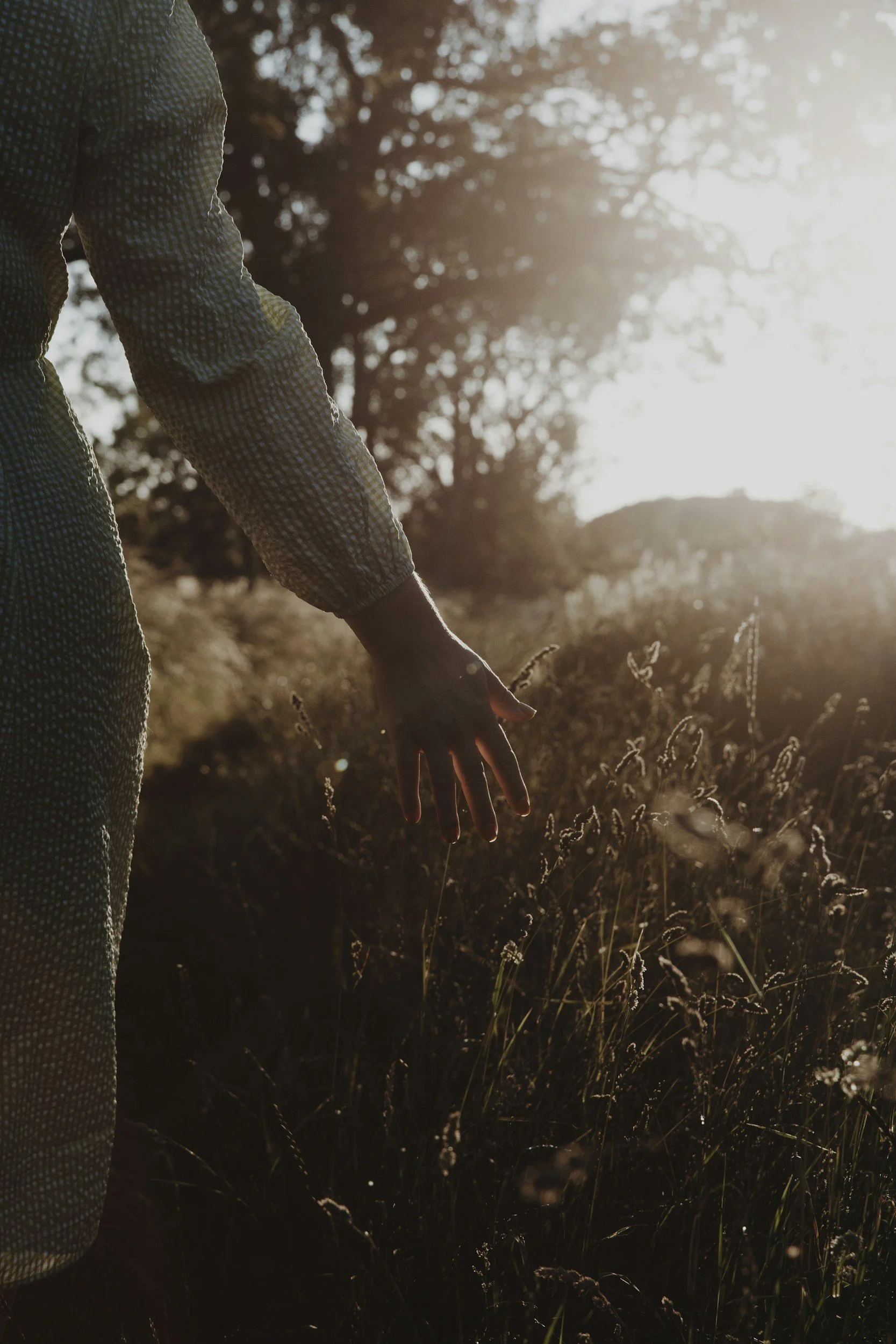 Partial view of a person wearing patterned clothing reaching out with one hand in a field of tall grass during sunset.
