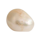 27a7424e-4316-4f89-ade4-b868ad8b834d.png