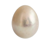 604bb664-e2dd-48b5-9199-b8ae6d212c76.png