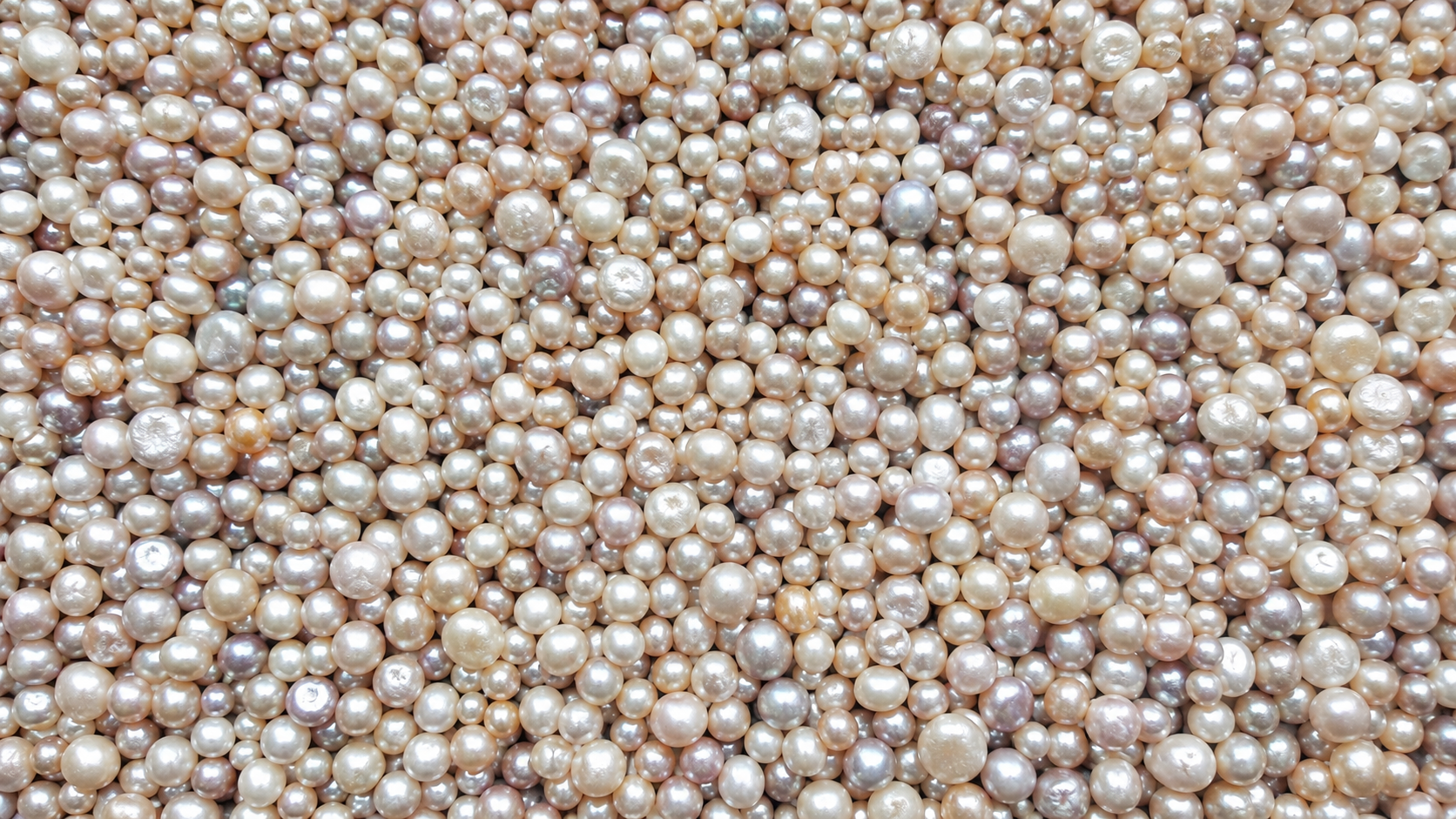 The Pearl Rush
