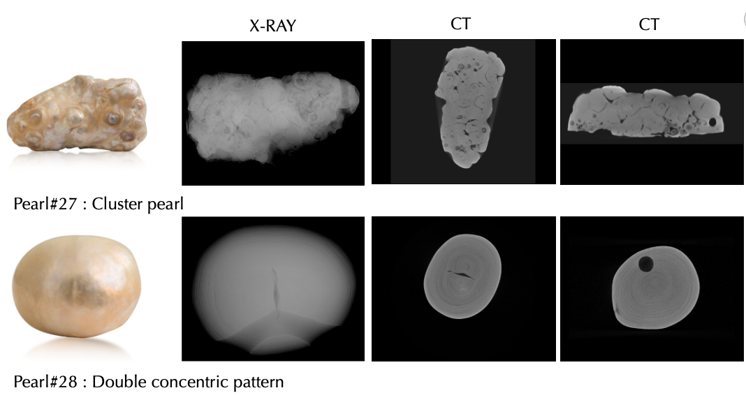 Image showing two different pearls with their X-ray and CT scans. The first is a cluster pearl with an irregular shape, and the second is a double concentric pattern pearl with a rounded shape and a visible dark spot inside.