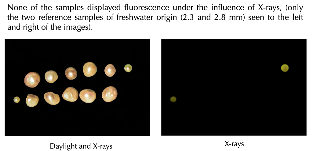 Comparison of pearl samples under daylight and X-ray imaging, showing different sizes of pearls on a black background.