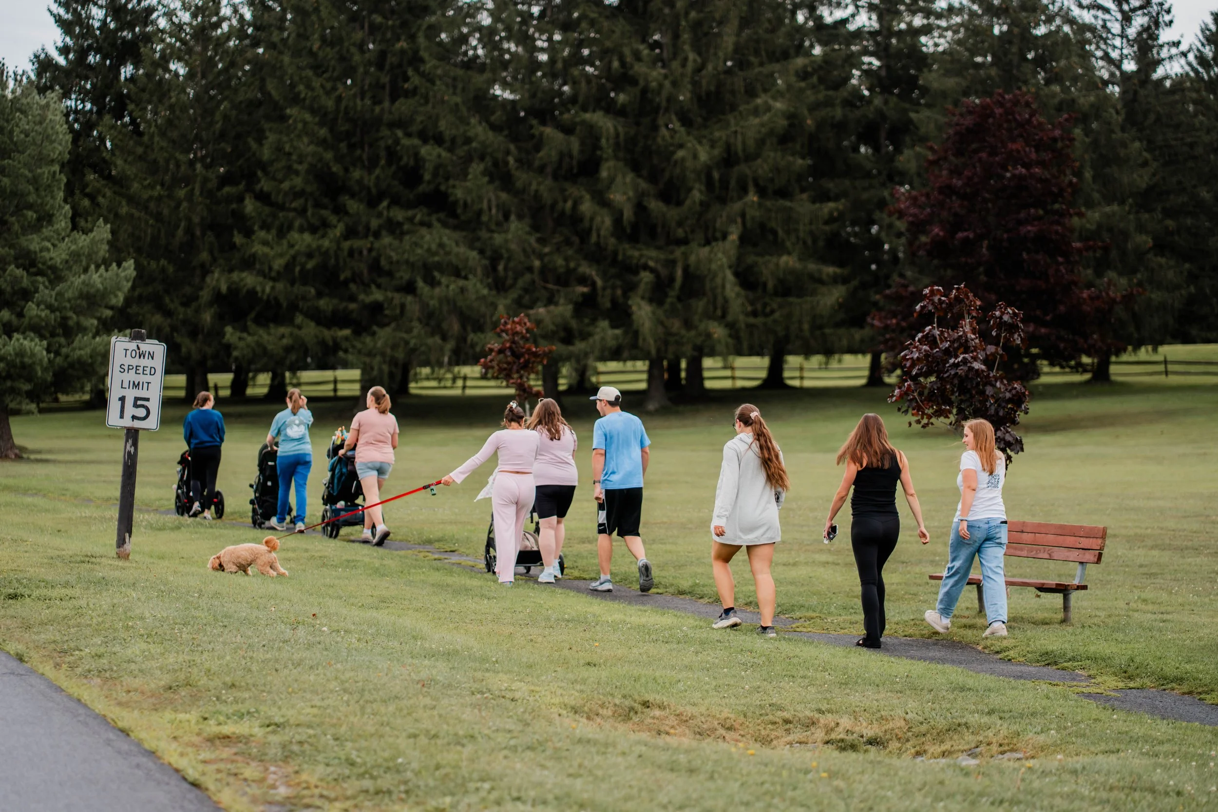 postpartum doula support, community, walk, new hartford town park
