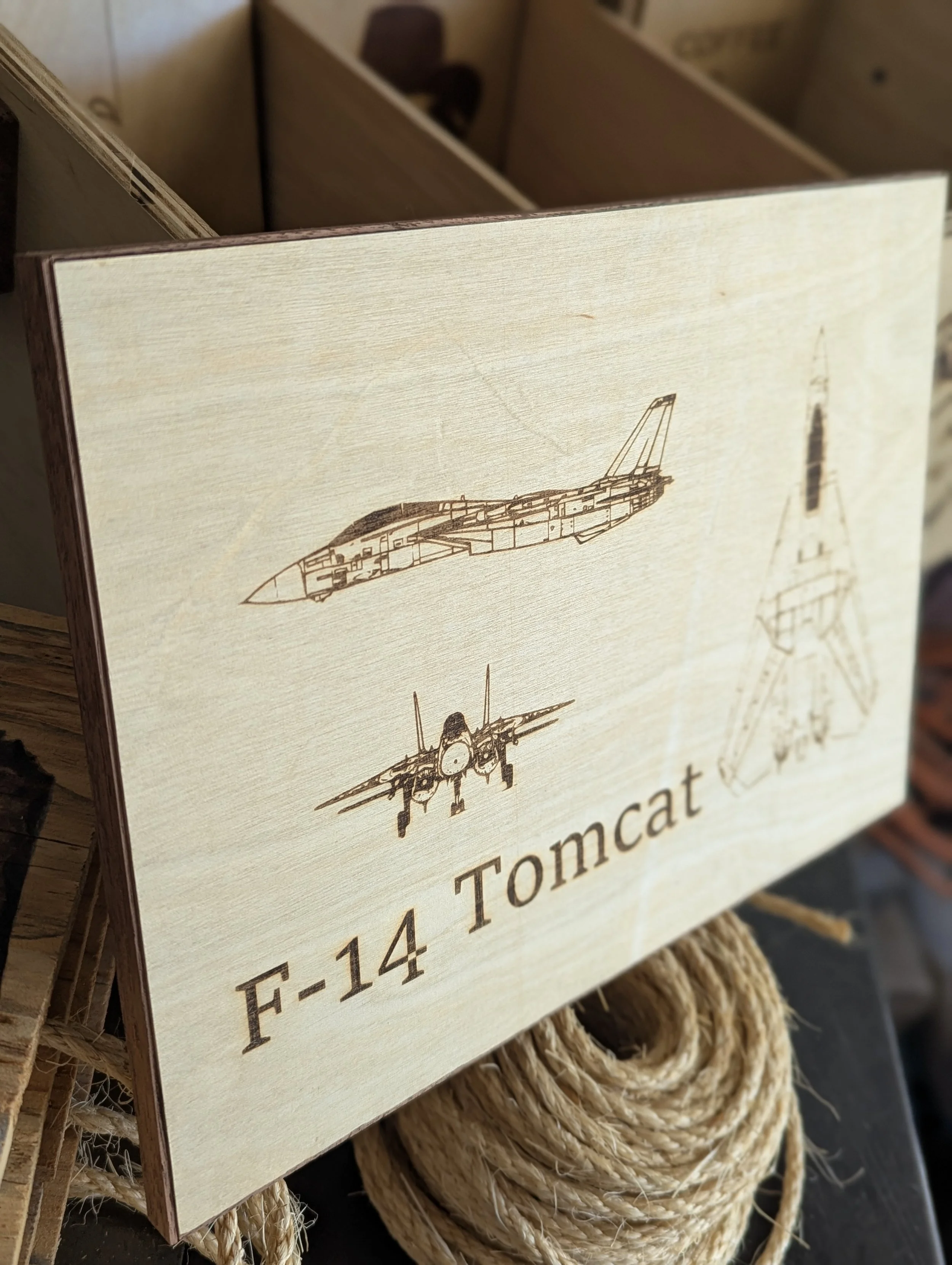 f14 a.jpg