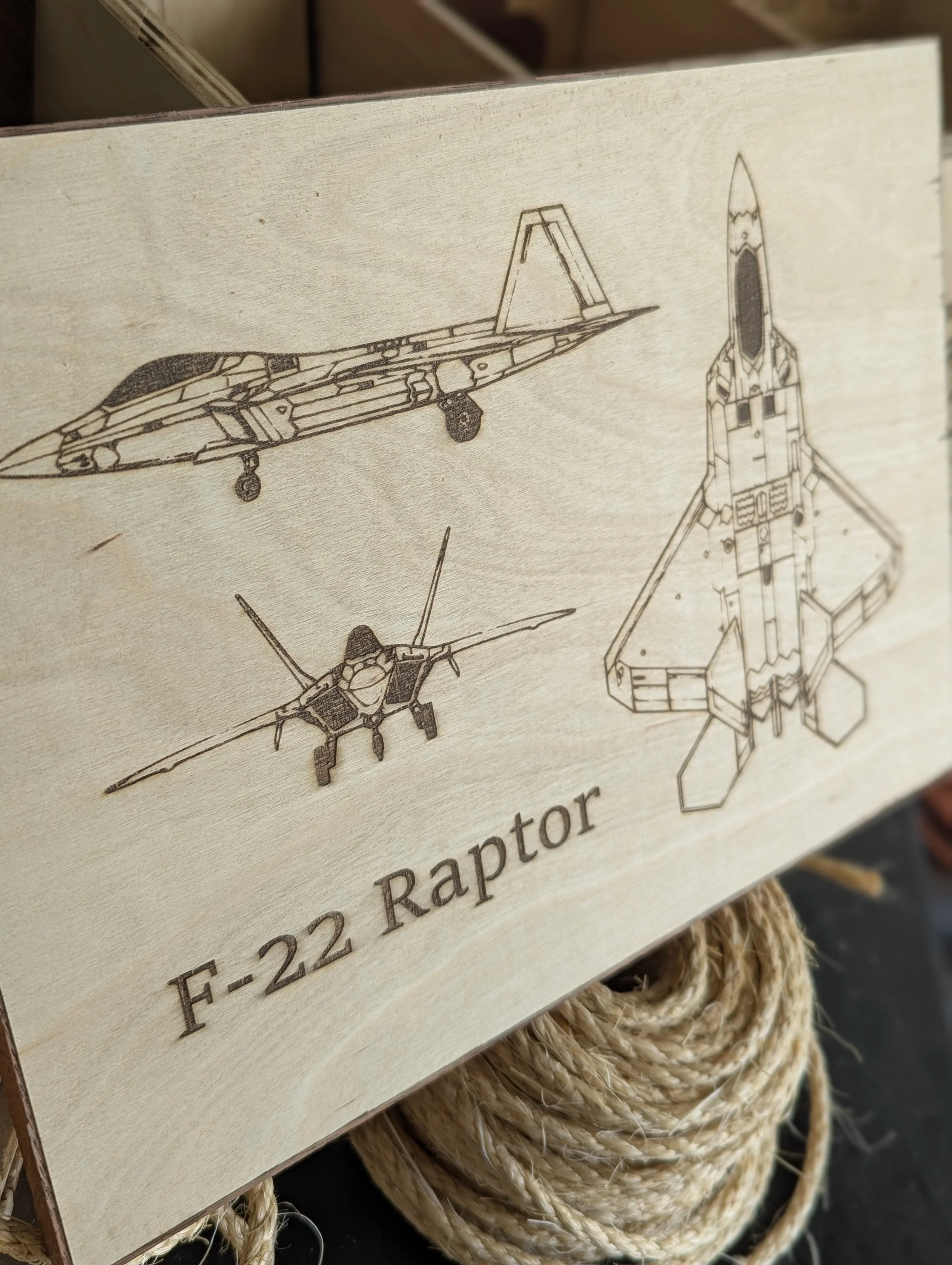 f22 a.jpg