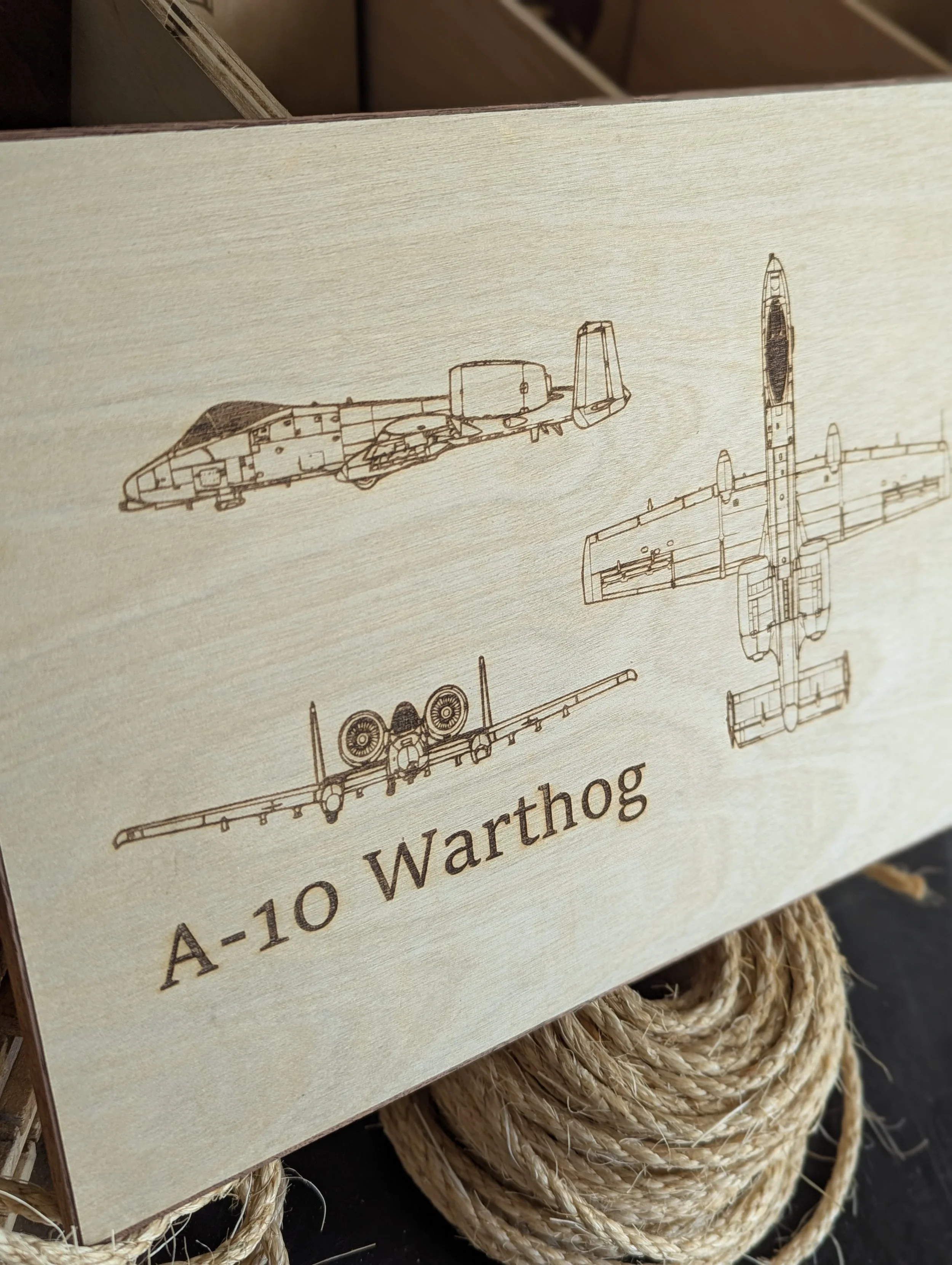 a10 a.jpg