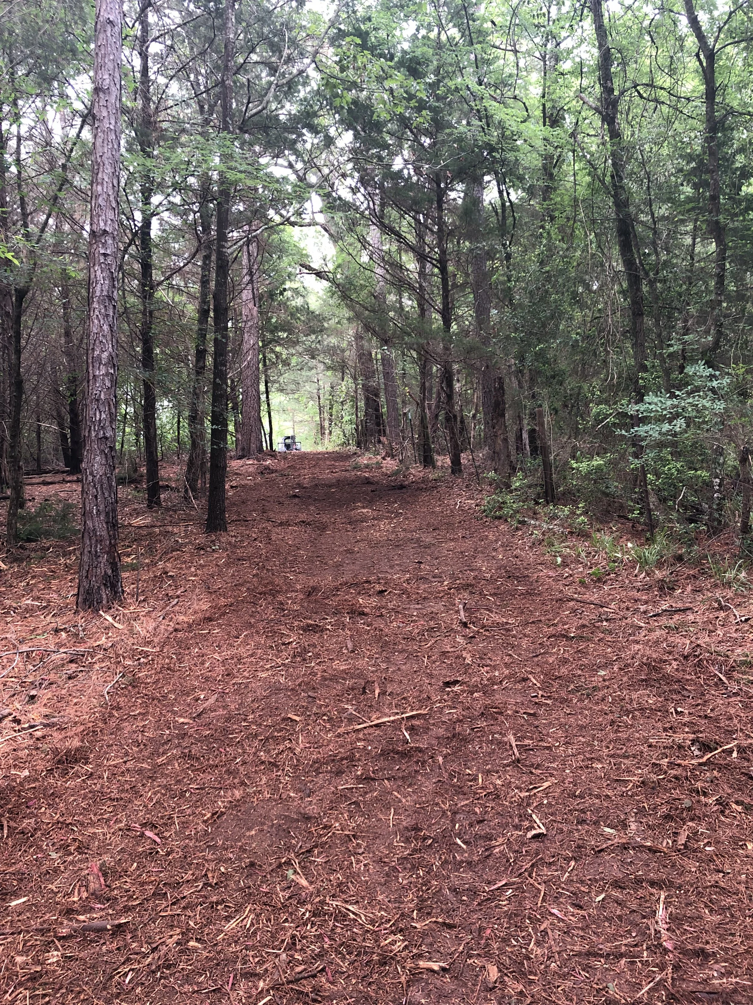Hunting Lanes and Trails
