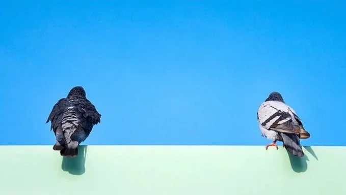 two%2Bbirb%2Bfriends2.jpg