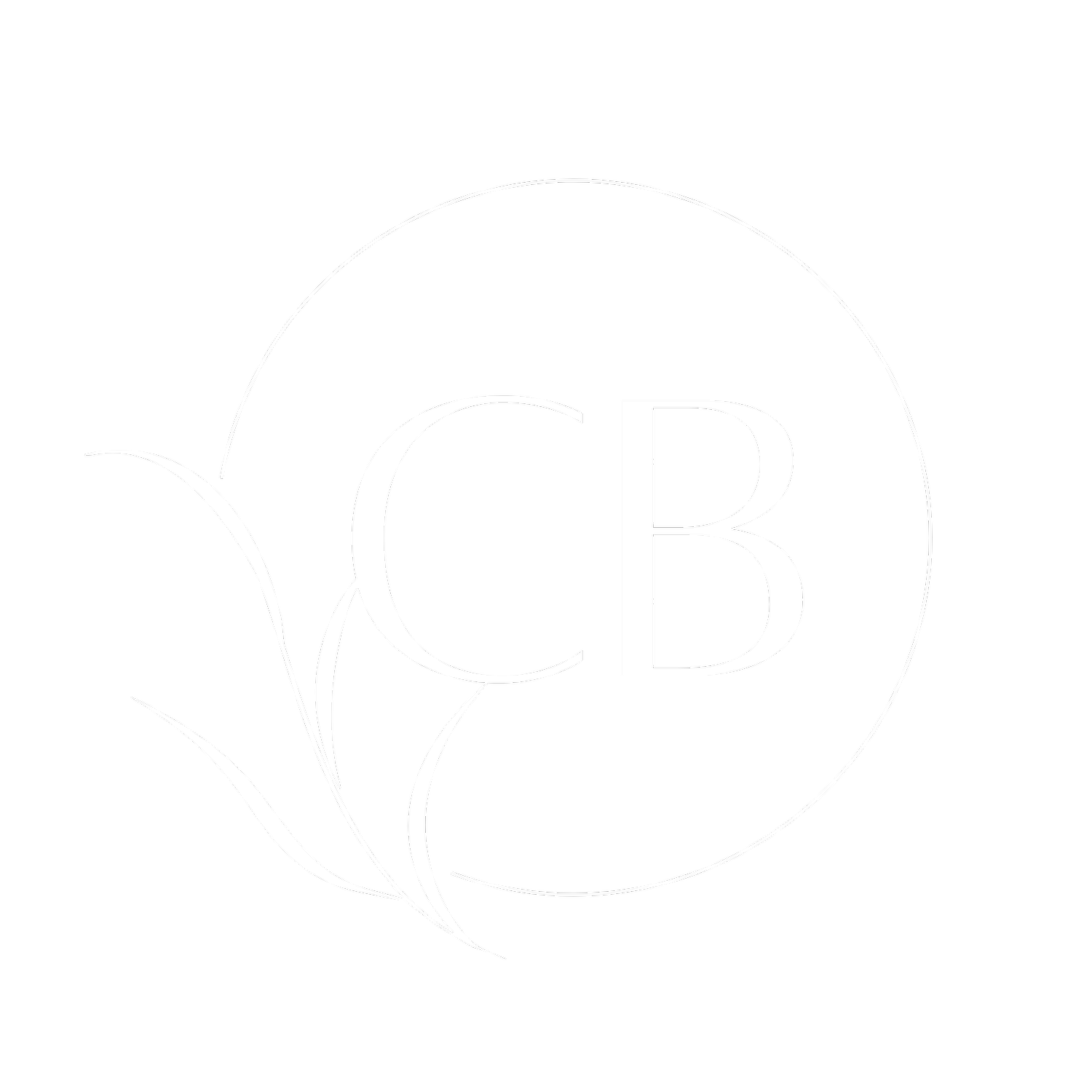 CBIDesigns