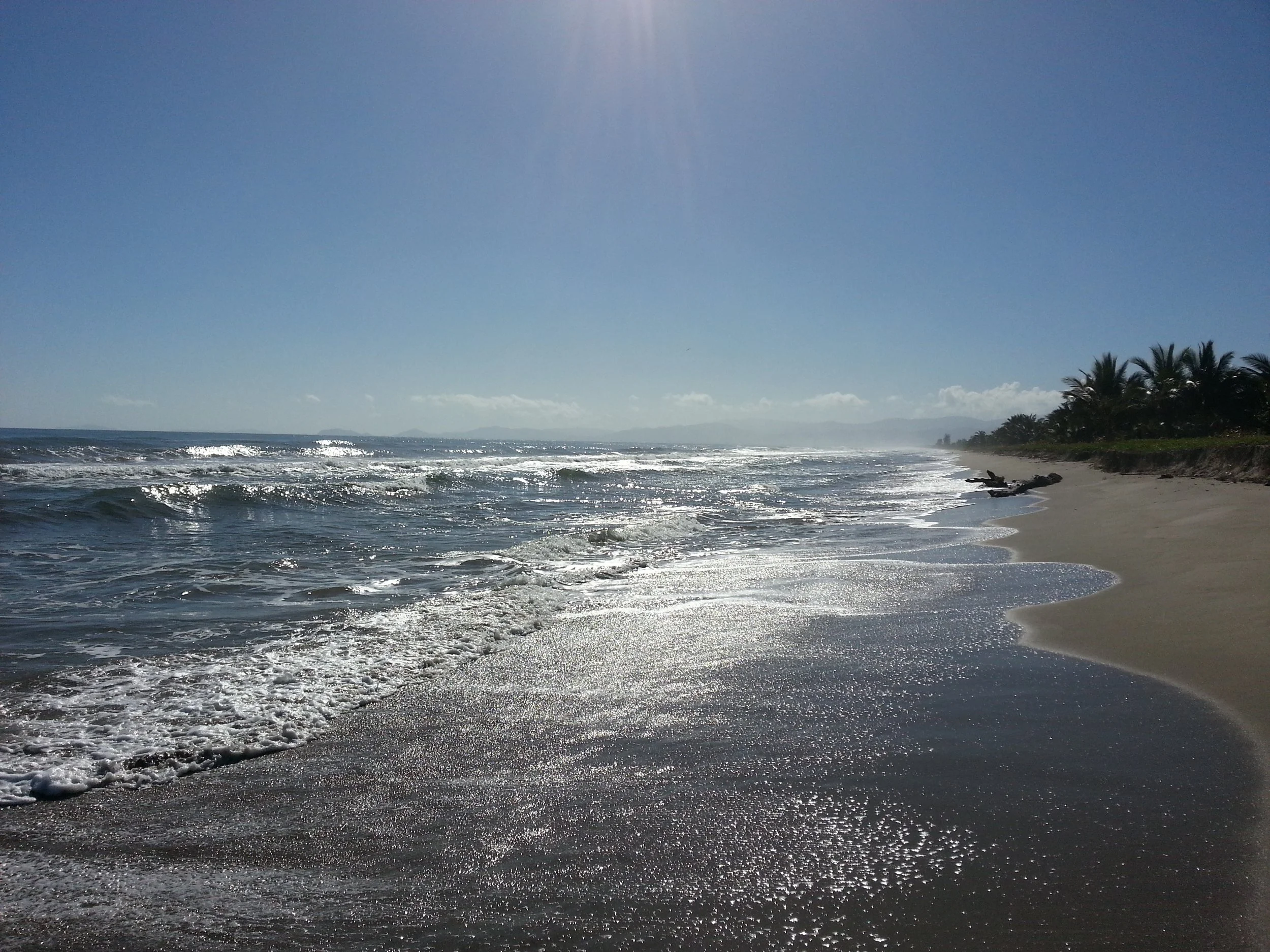 Beach with waves crashing on the shore, palm trees on the right, clear blue sky, and distant mountains.