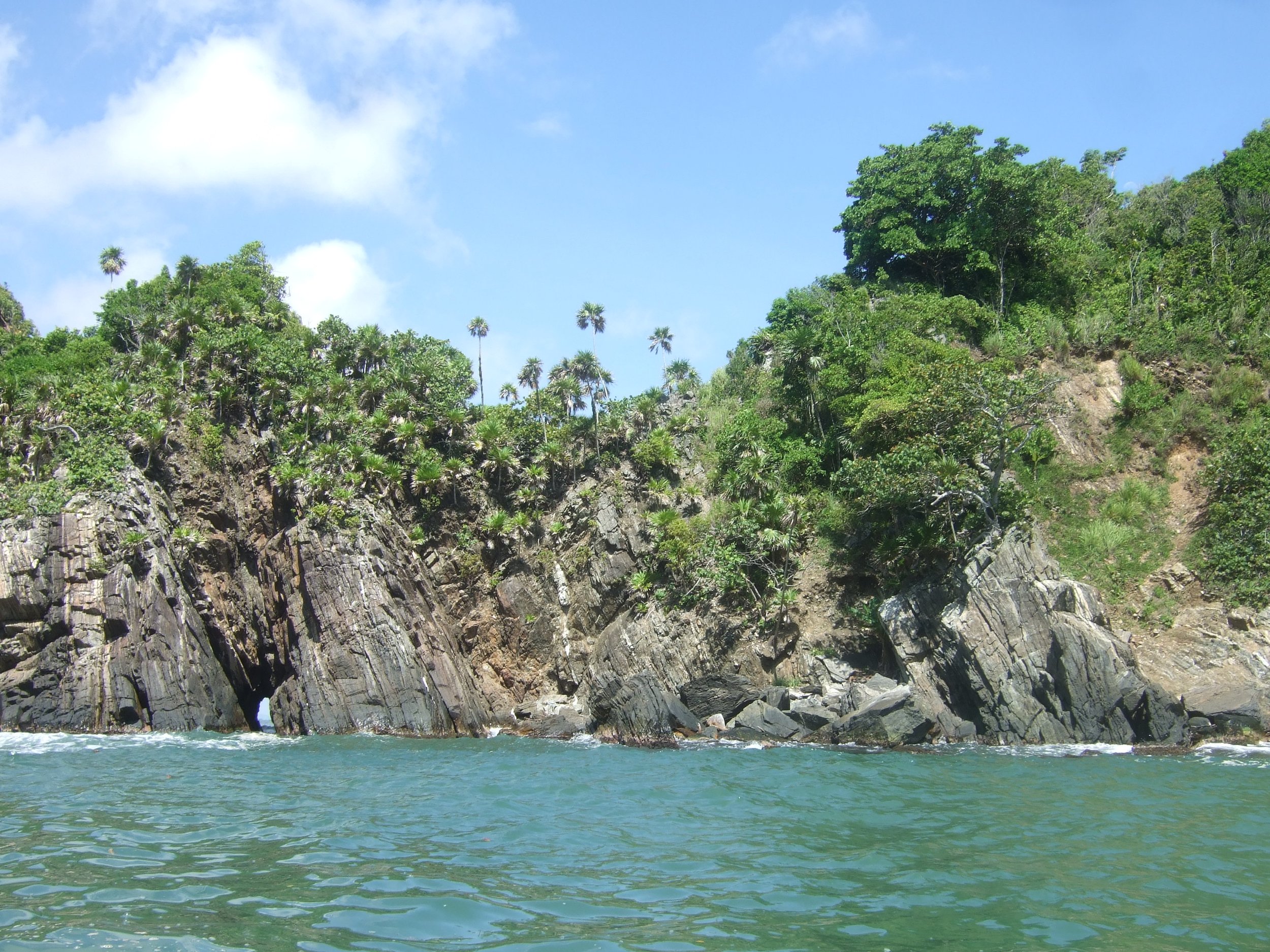 Green ocean water with rocky cliff and trees in the background under a blue sky with some clouds.