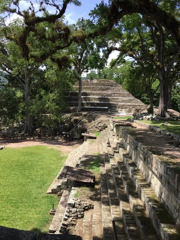Ancient stepped pyramid in a lush green area with trees and shadows.