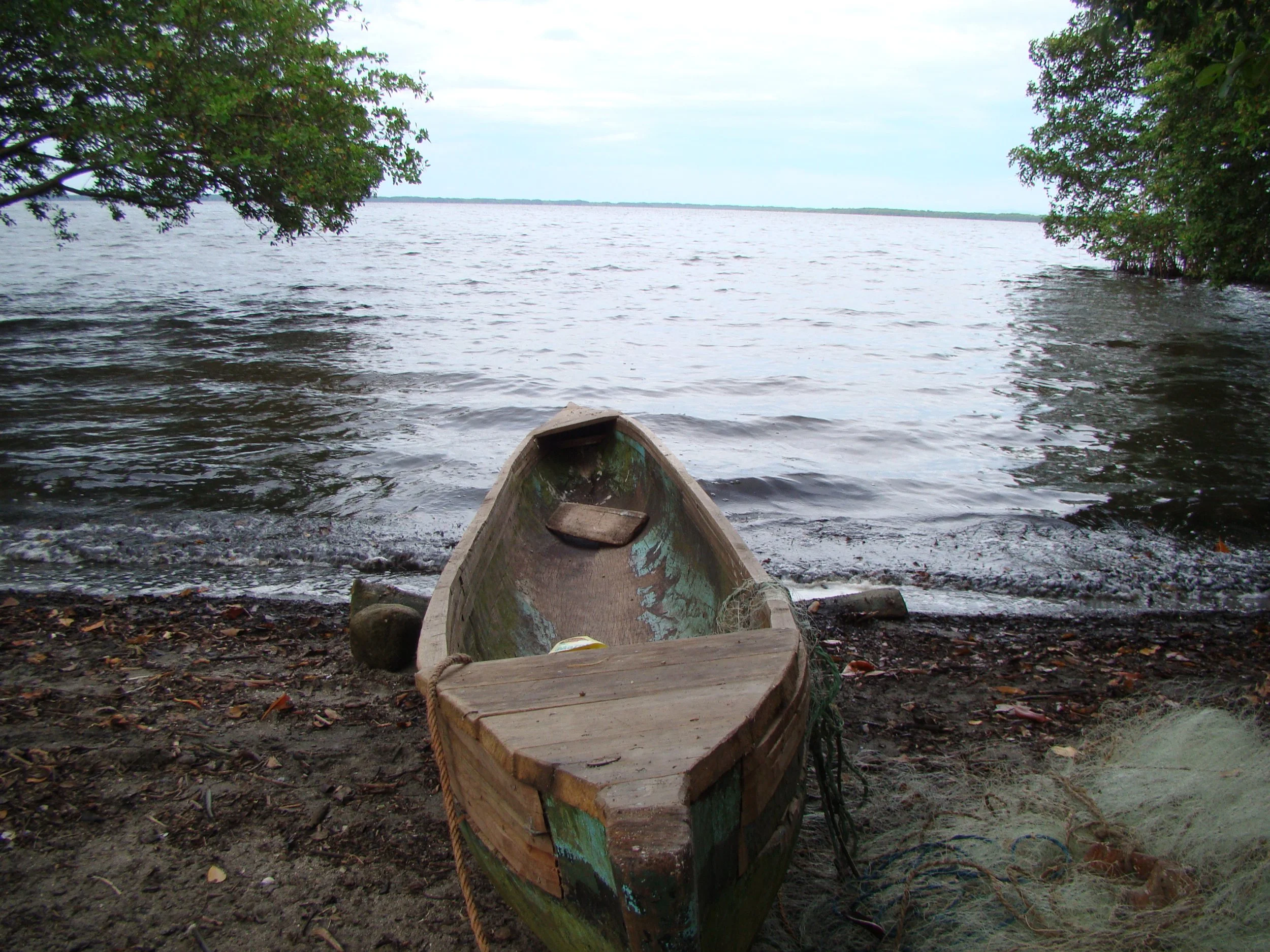 An old wooden boat resting on rocks and leaves on a shoreline, with a large body of water and trees on the horizon under a cloudy sky.