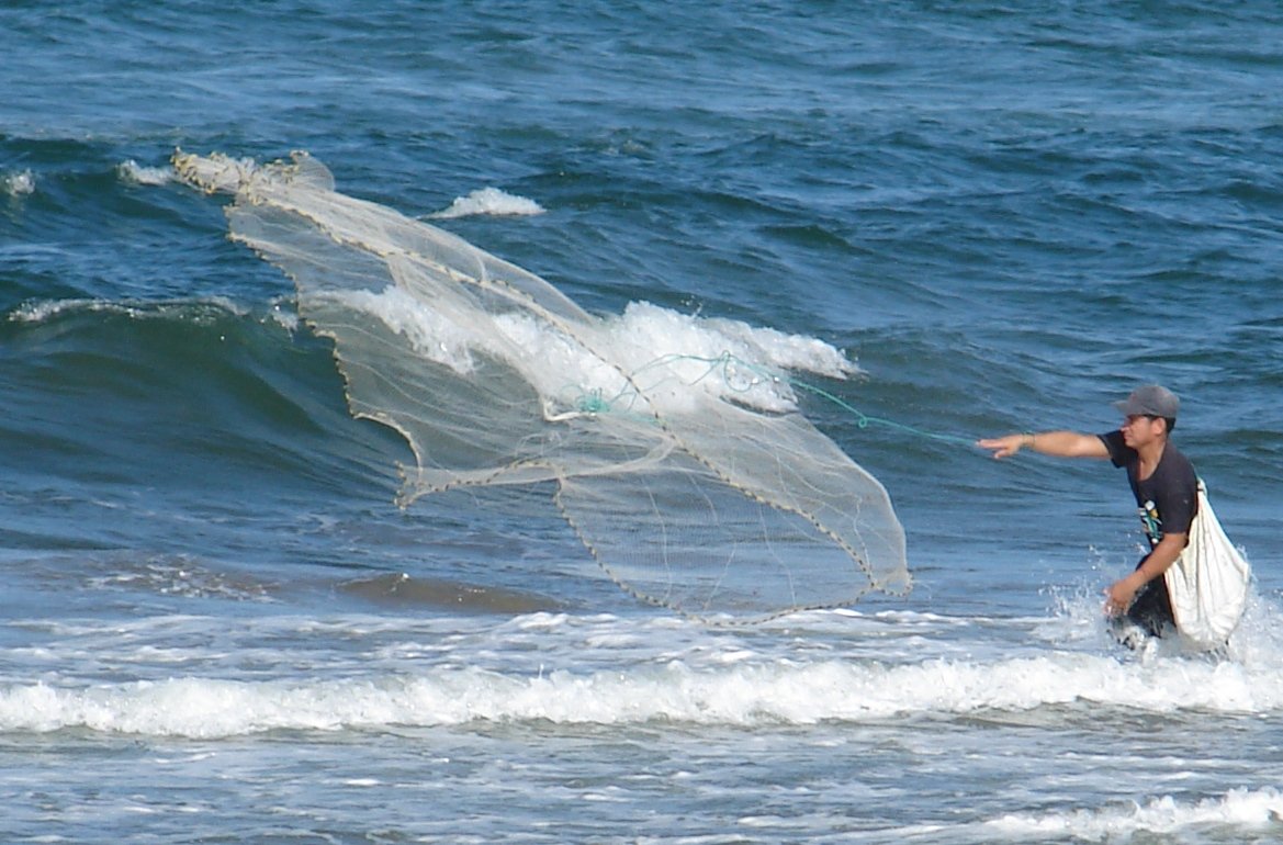 A person in the ocean releasing a large, translucent jellyfish back into the water.