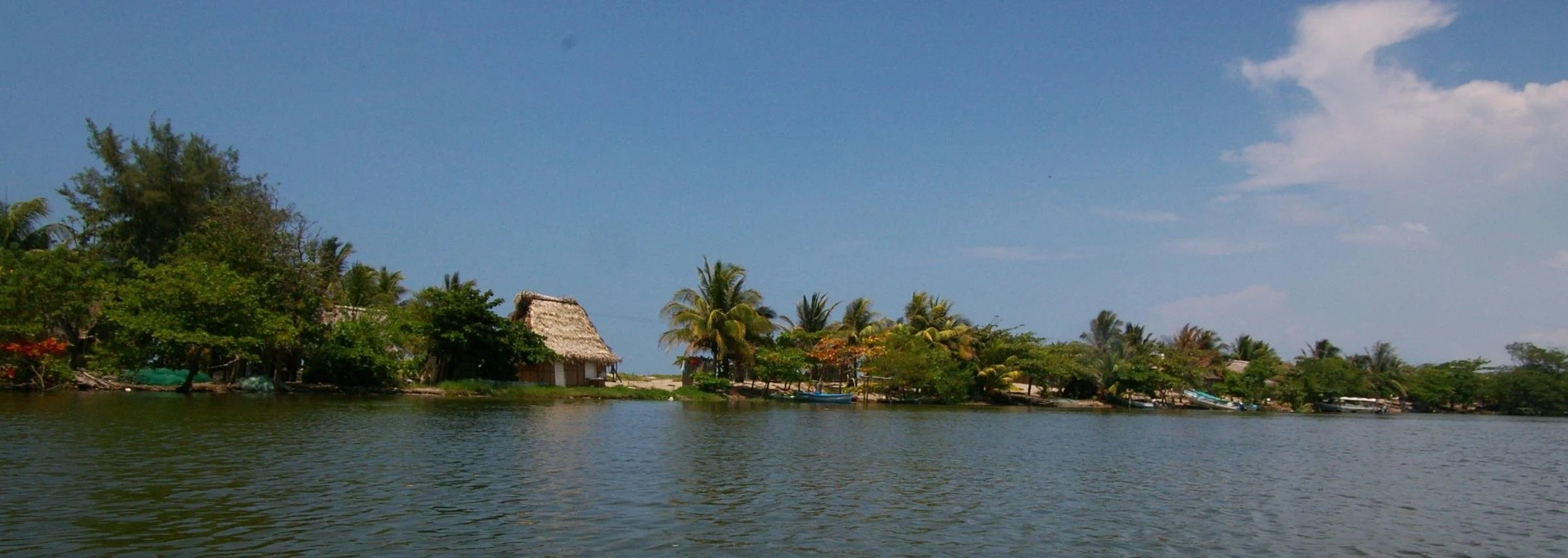 Tropical waterfront scene with lush green trees, thatched-roof huts, and palm trees along a calm river, under a blue sky with clouds.