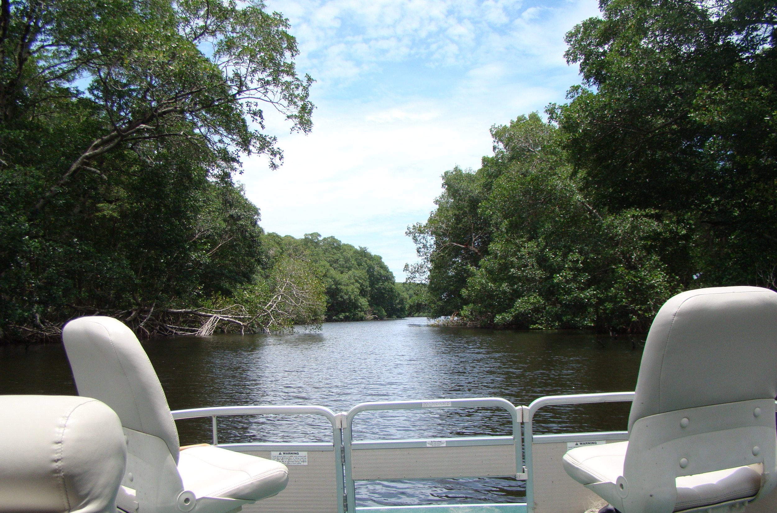 View from a boat on a calm river surrounded by dense green trees with a partly cloudy sky above.