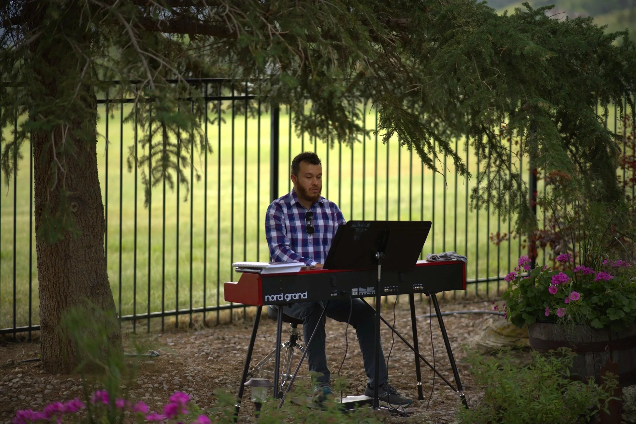 A man playing a red Nord Grand keyboard outdoors under a large tree, with a black fence and green grassy field in the background and pink flowers in the foreground.