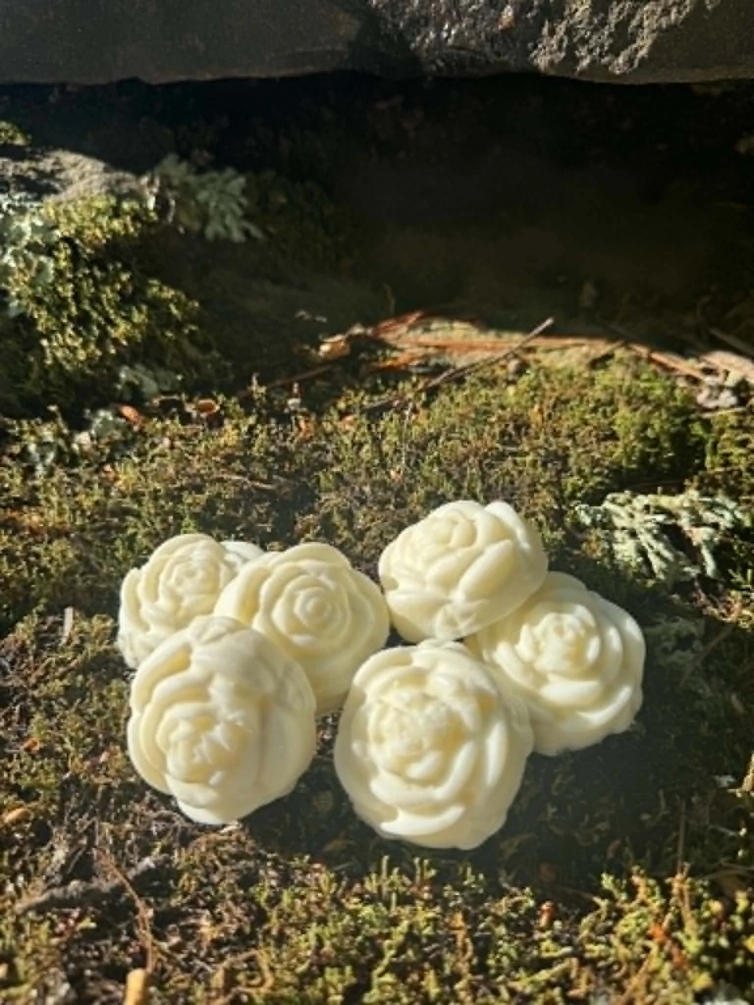 Succulent Wax Melts