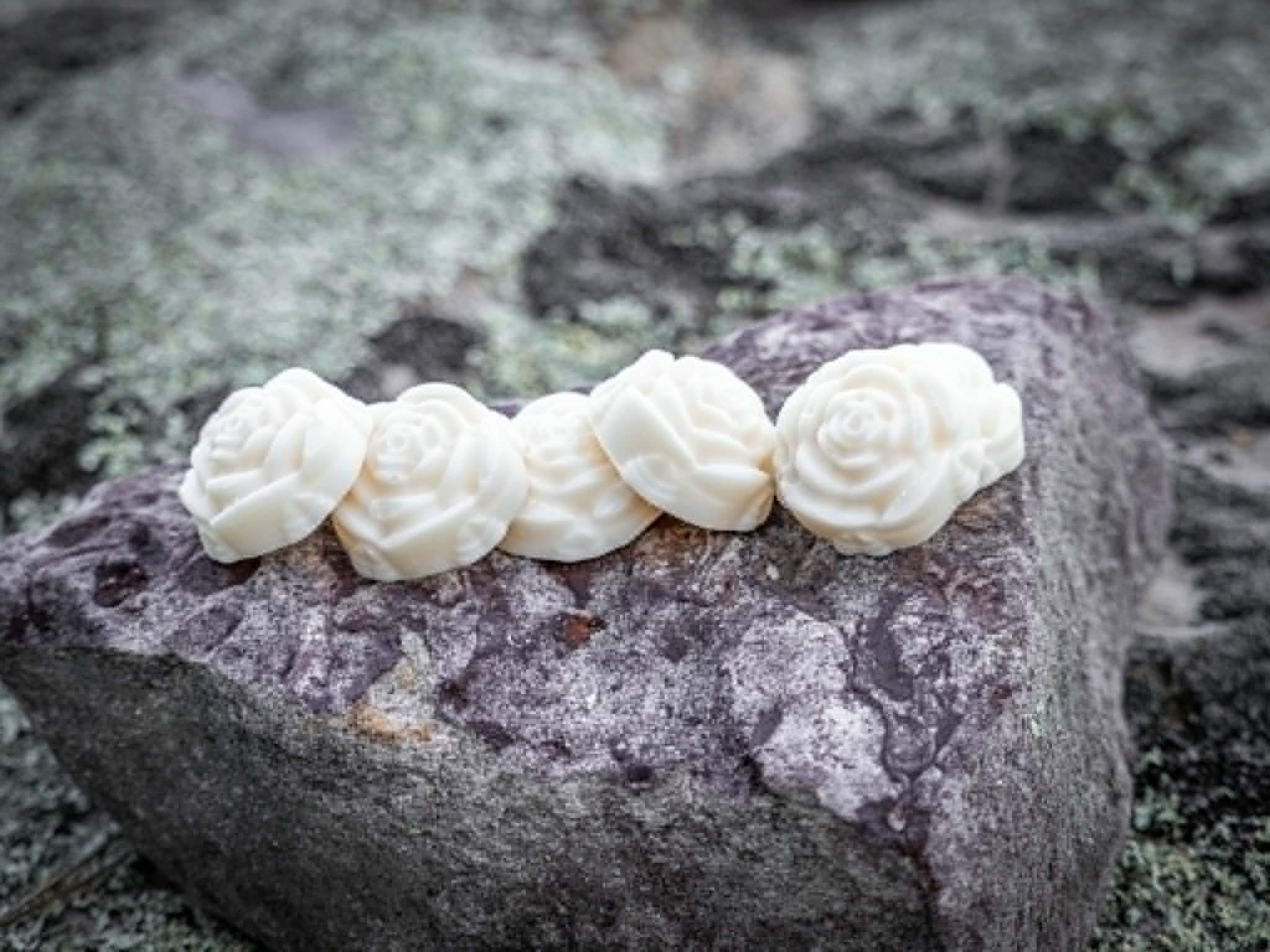 Close-up of a cluster of white, rose-shaped fungi growing on a piece of wood in a natural outdoor setting.