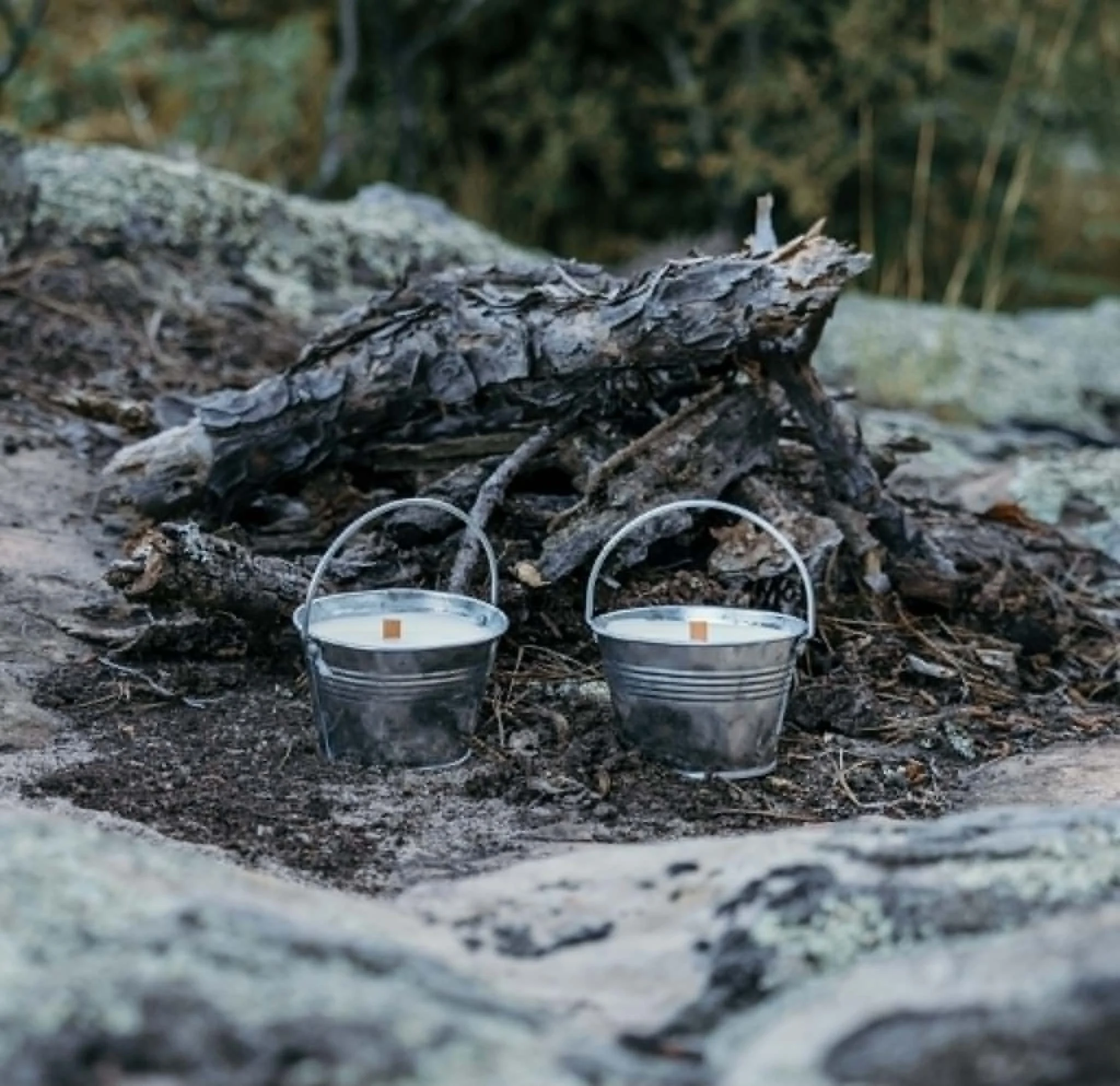 Two metal buckets filled with water placed on the ground in front of a large fallen tree trunk in a forest.