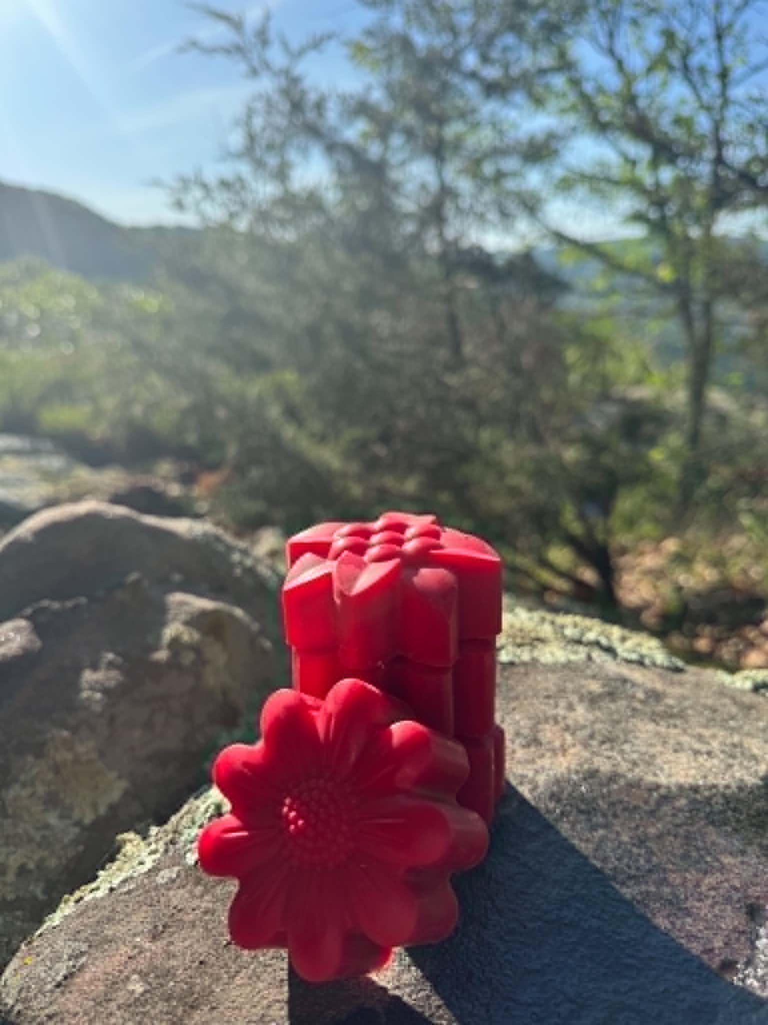 A red flower-shaped object being held by a person outdoors, with a background of trees and a mountain under a blue sky.