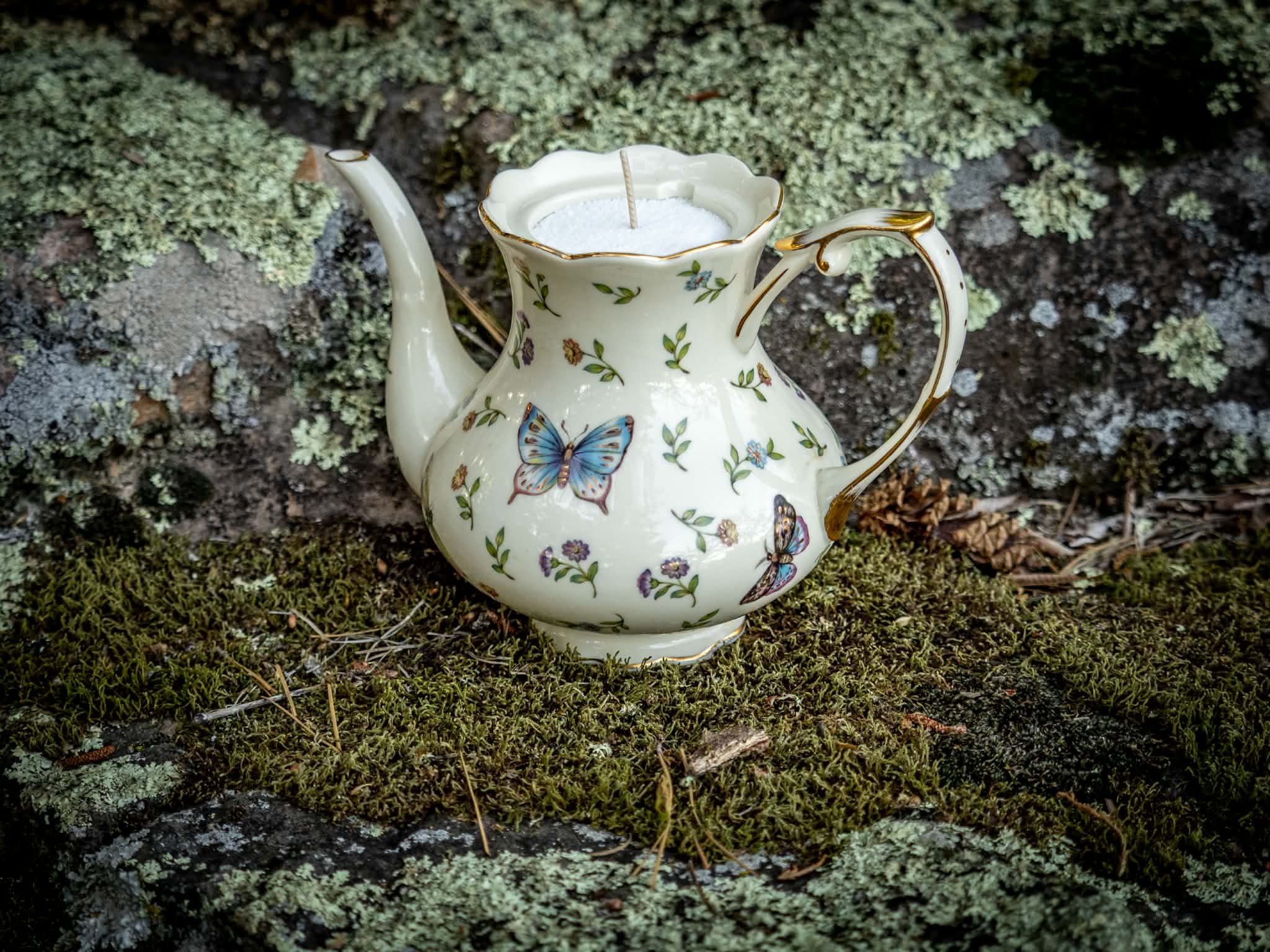 A porcelain teapot with butterfly and floral designs resting on moss-covered ground, with lichen-covered rocks in the background.