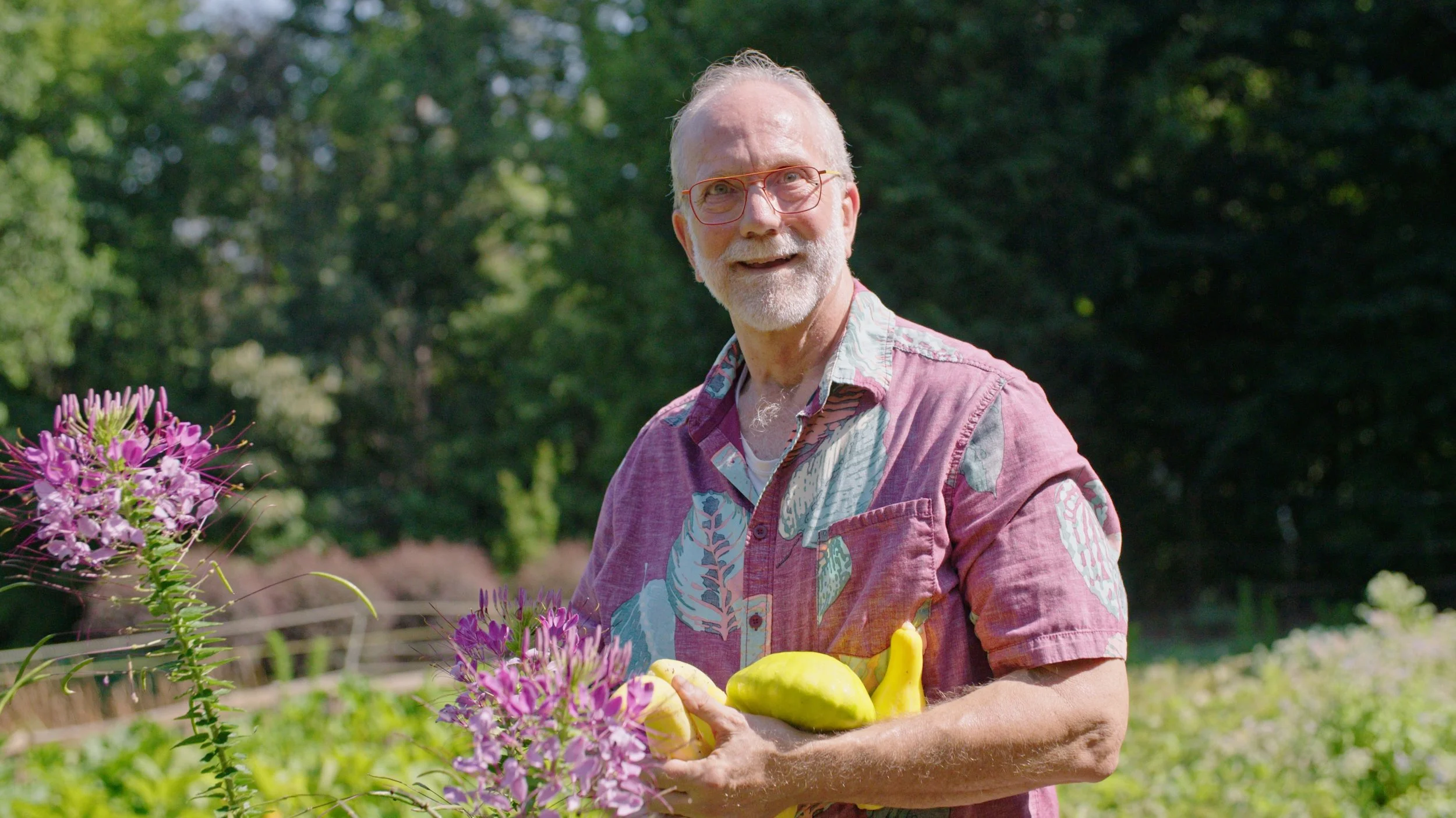 An elderly man with glasses, a beard, and gray hair, wearing a colorful short-sleeved shirt, stands outdoors in a garden with pink flowers and green trees in the background, holding yellow bananas and a yellow bell pepper.