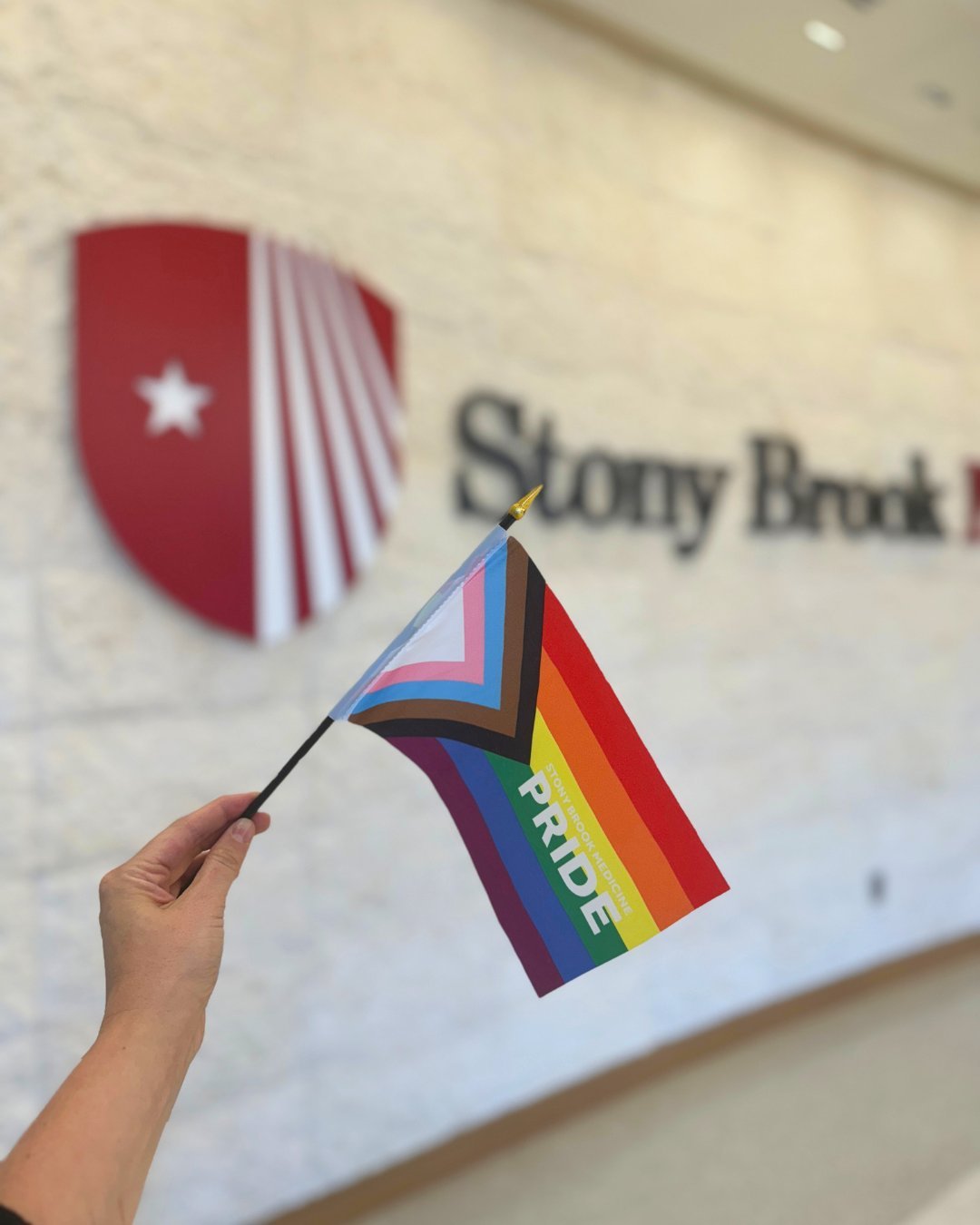 Image Credit: Stony Brook Instagram