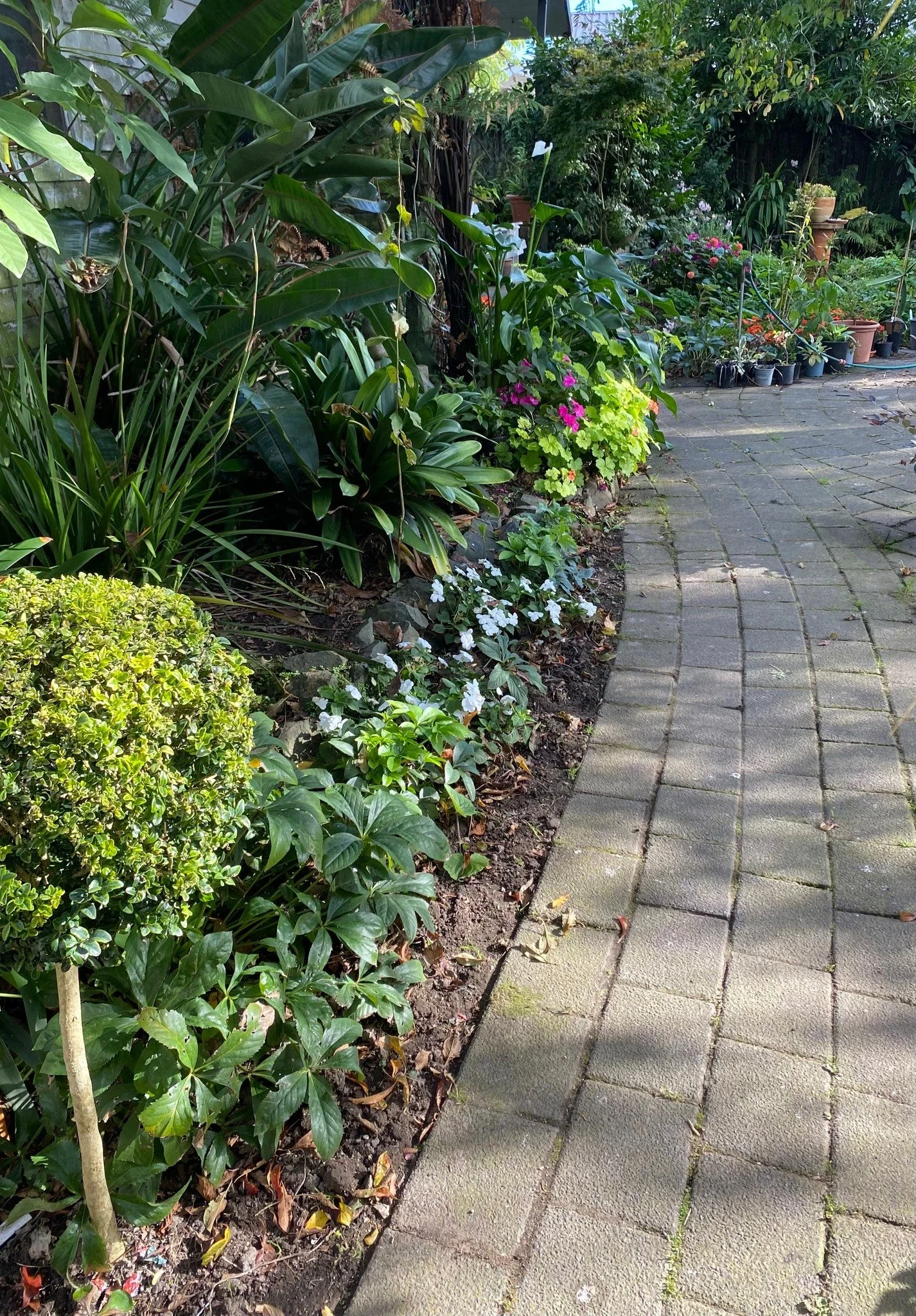 This is the Path to Lyn's Office
