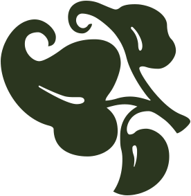 A dark green abstract floral or leaf design.