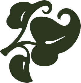 Abstract dark green swirling shapes on a black background.