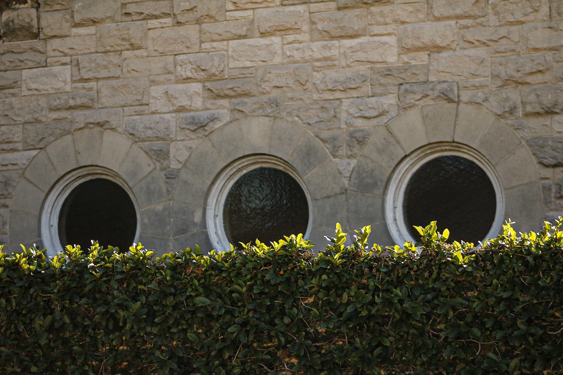 _MG_3285.jpg