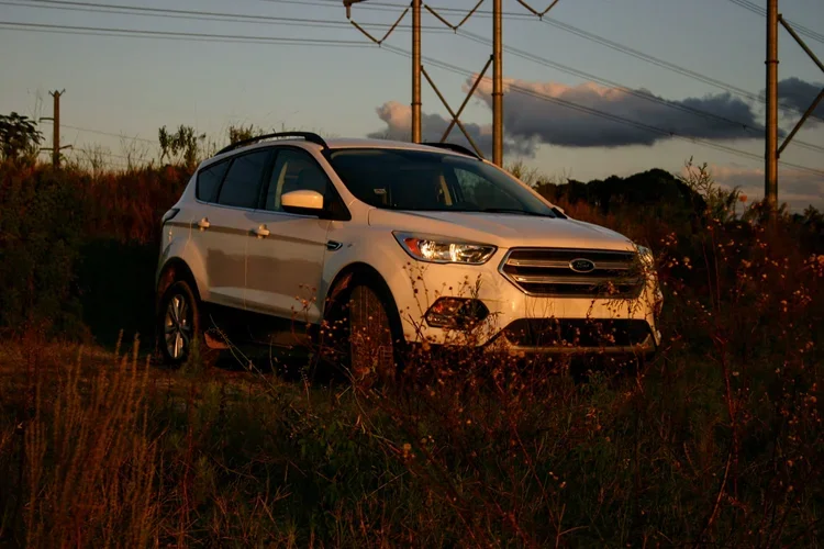 Evening Stance