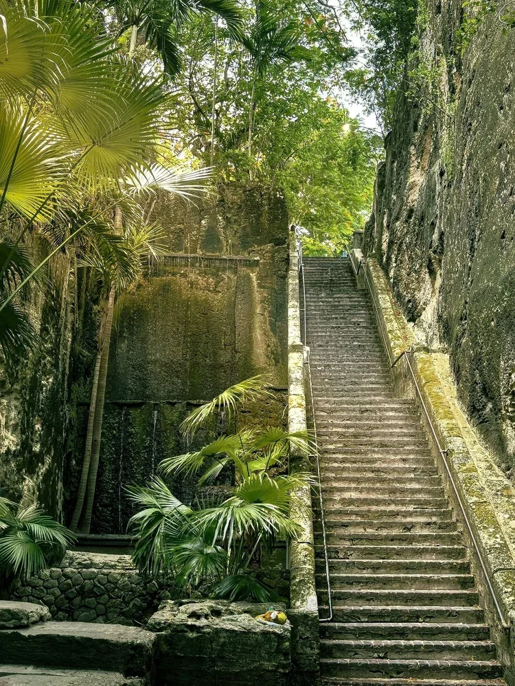 Verdant Rise