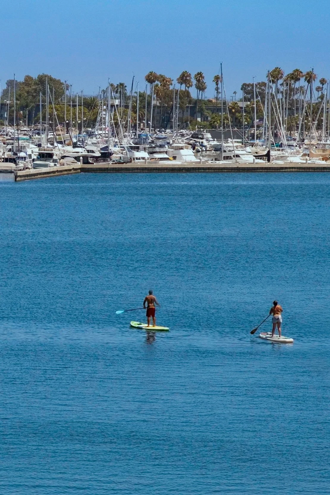 Two people paddleboarding on a calm blue body of water near a marina with numerous boats and sailboats docked, and palm trees in the background.