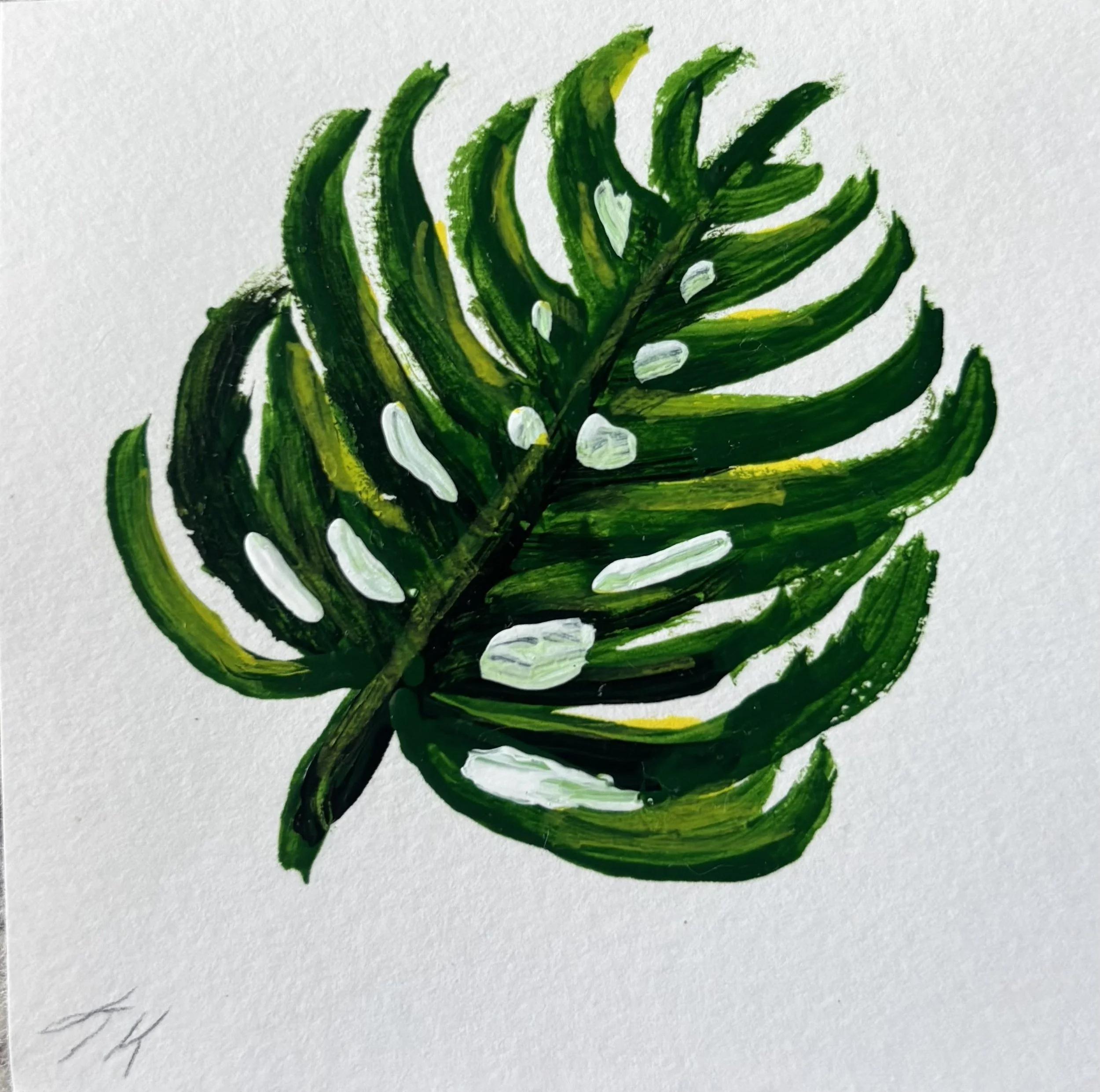 Plant leaf jpg.jpg