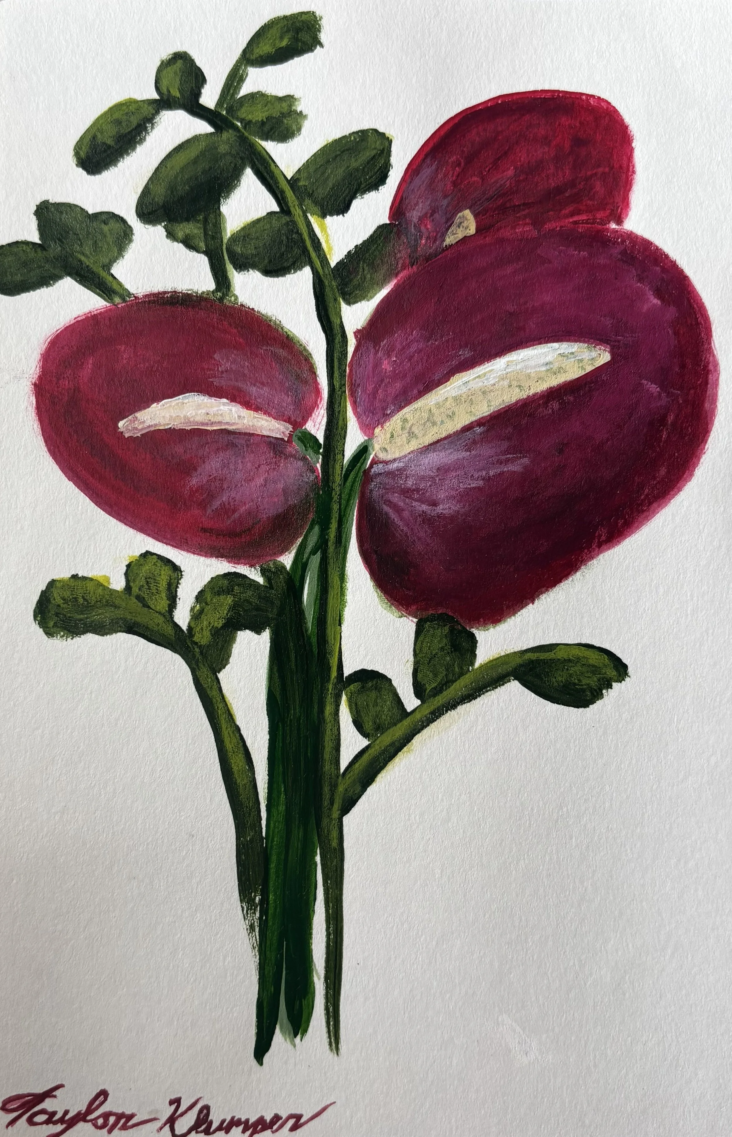 Flowers 6 jpg.jpg