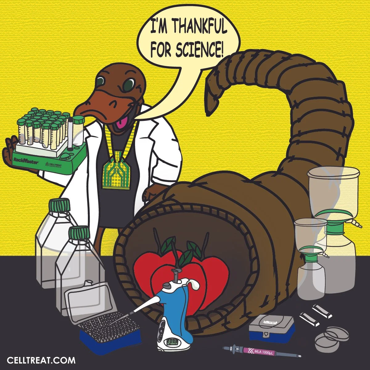 CELLTREAT THANKSGIVING PLATY