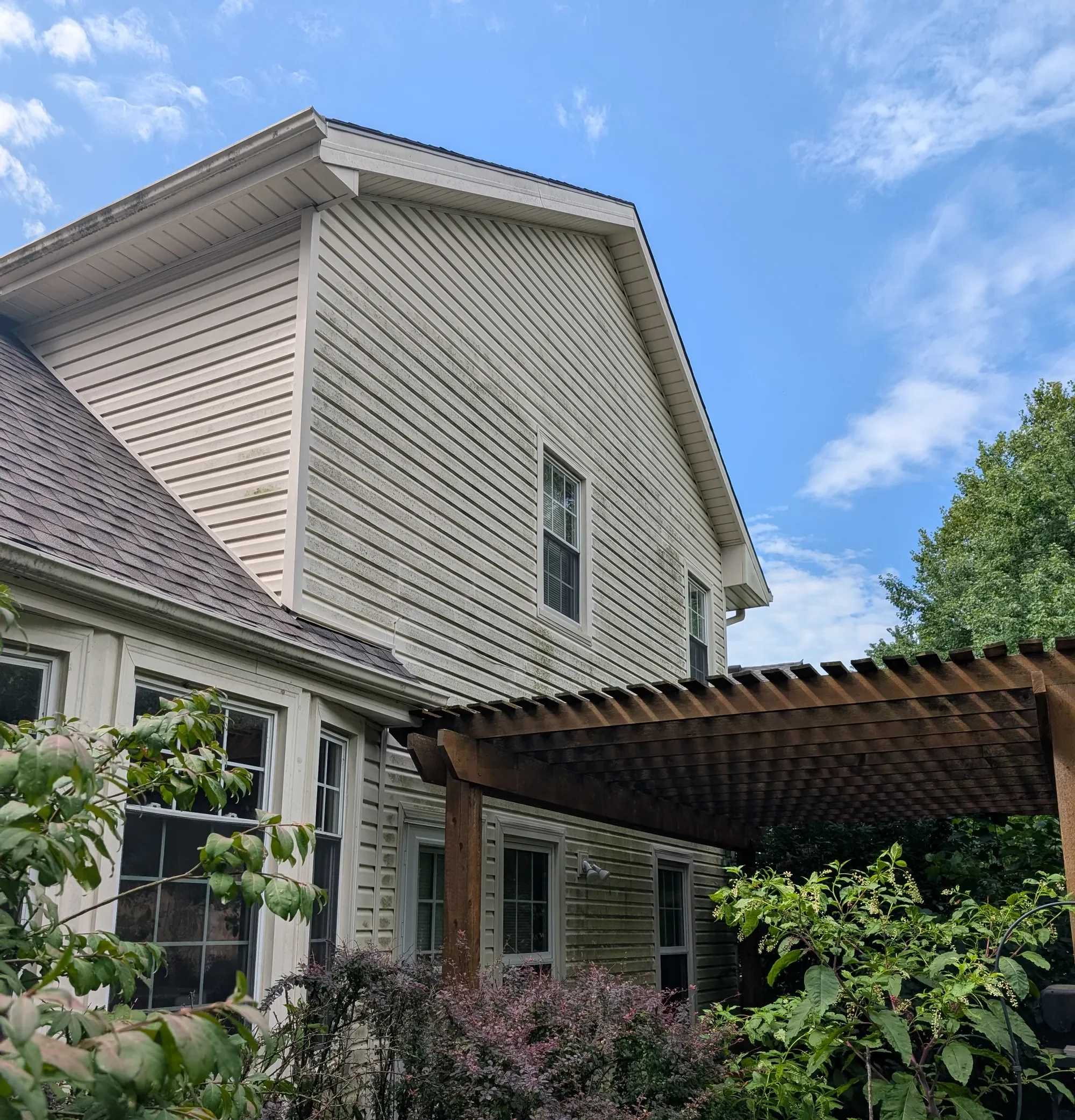 Rear house siding before soft washing — Olathe KS