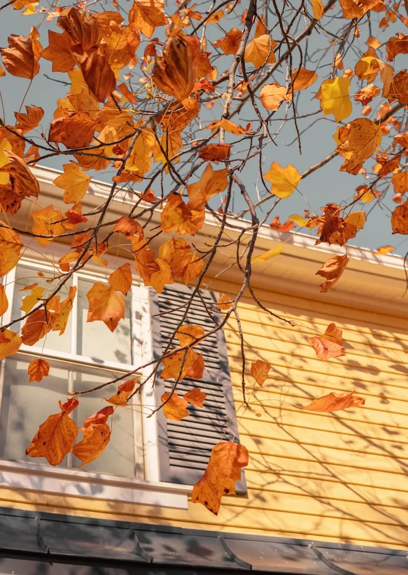 Fall leaves near a home's roofline and gutters in Johnson County, KS
