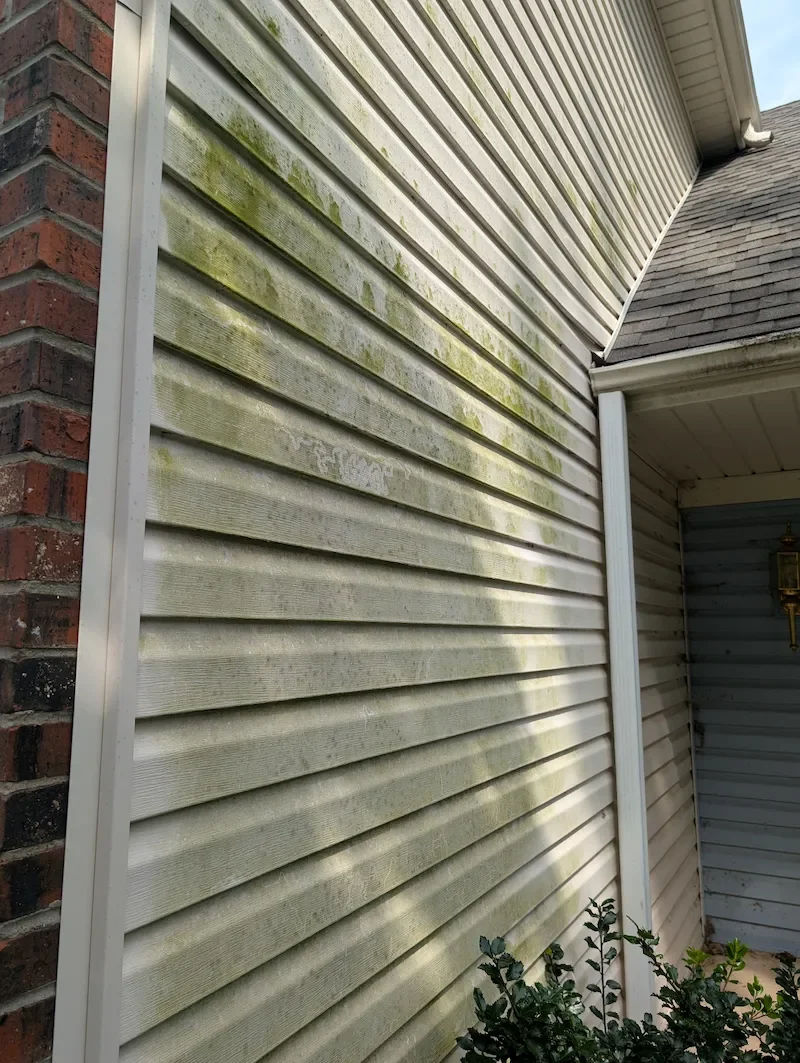 House siding with vivid green algae before soft washing — Olathe KS